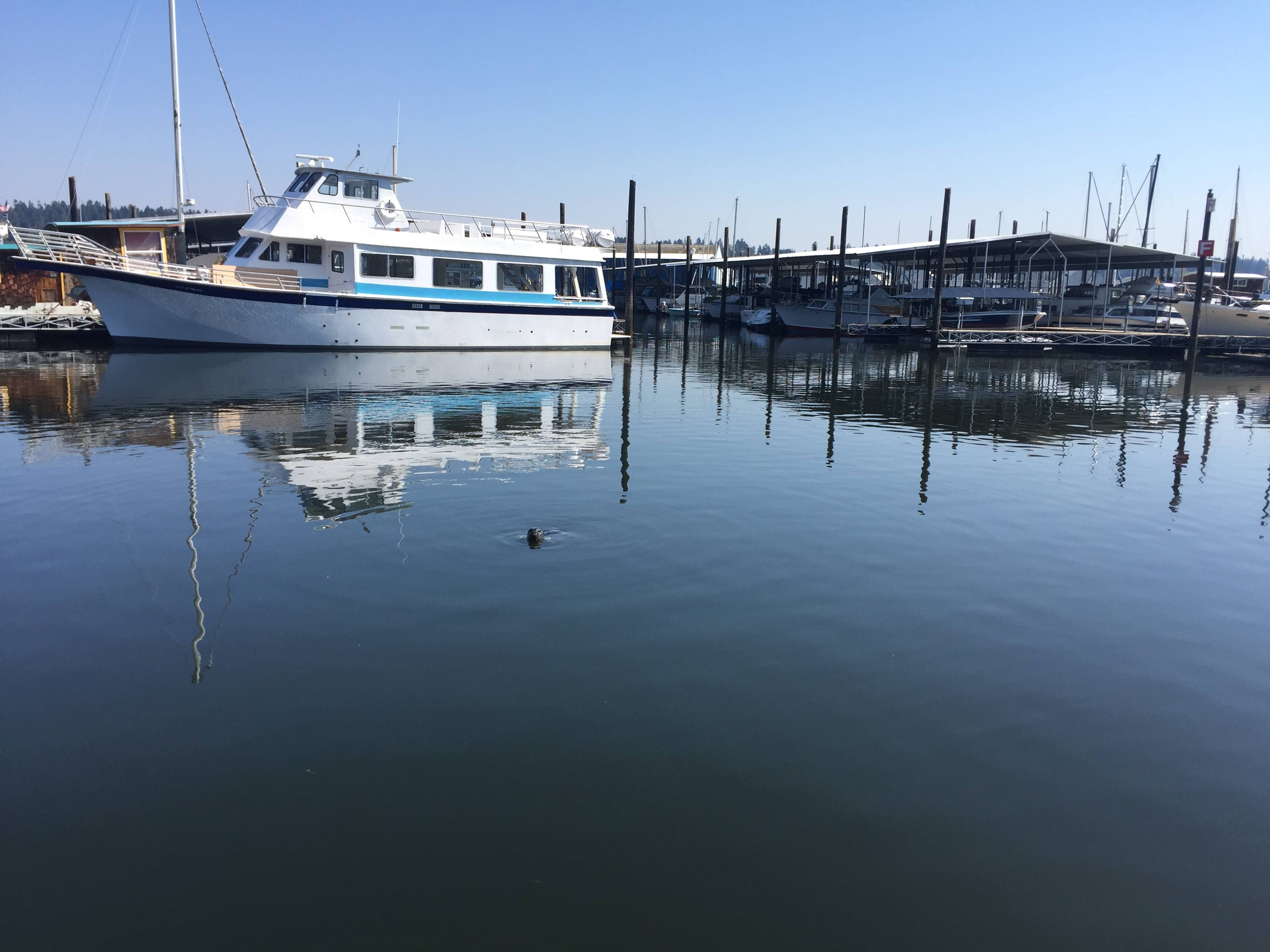 Boston Harbor Marina