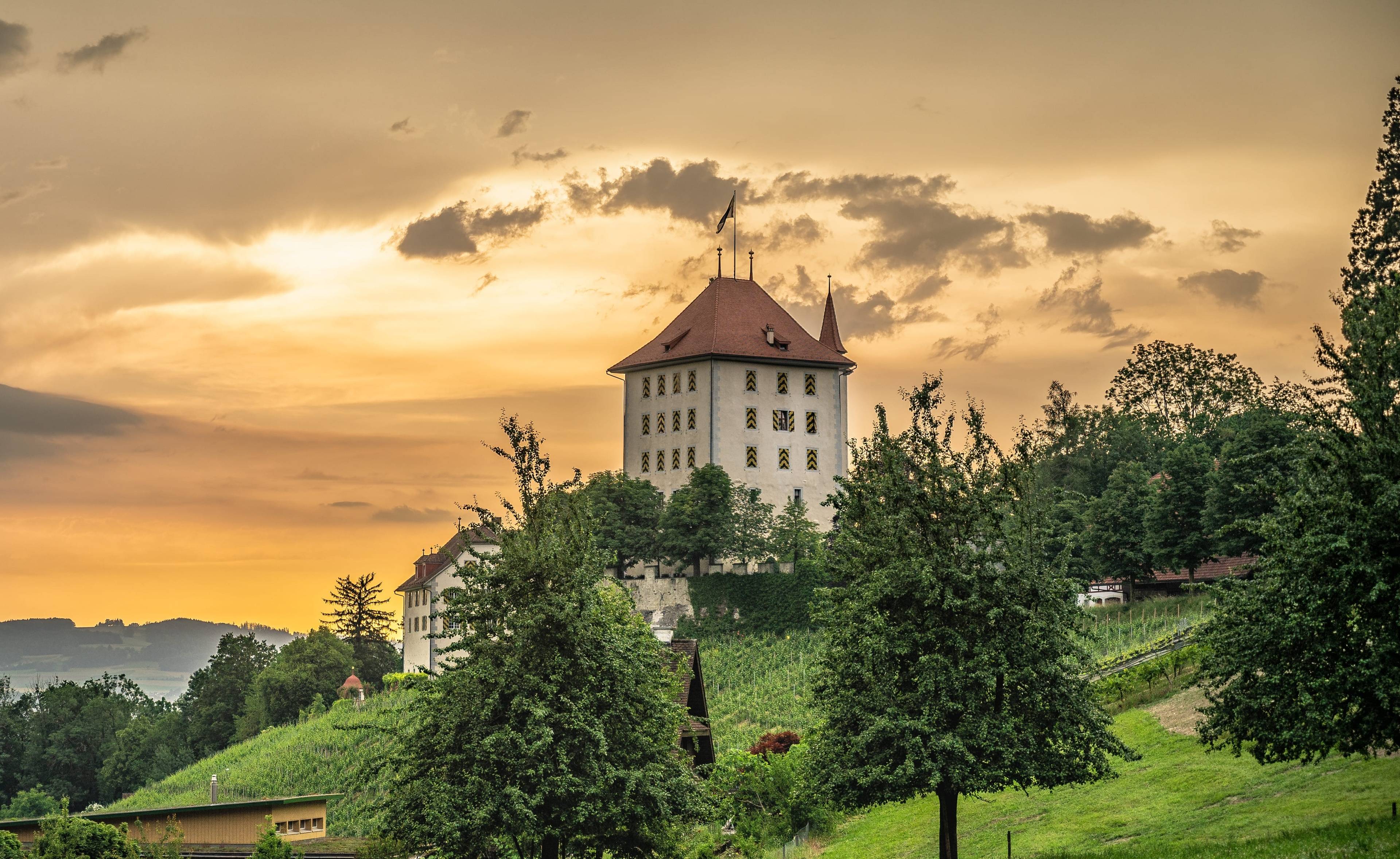 Schloss Heidegg