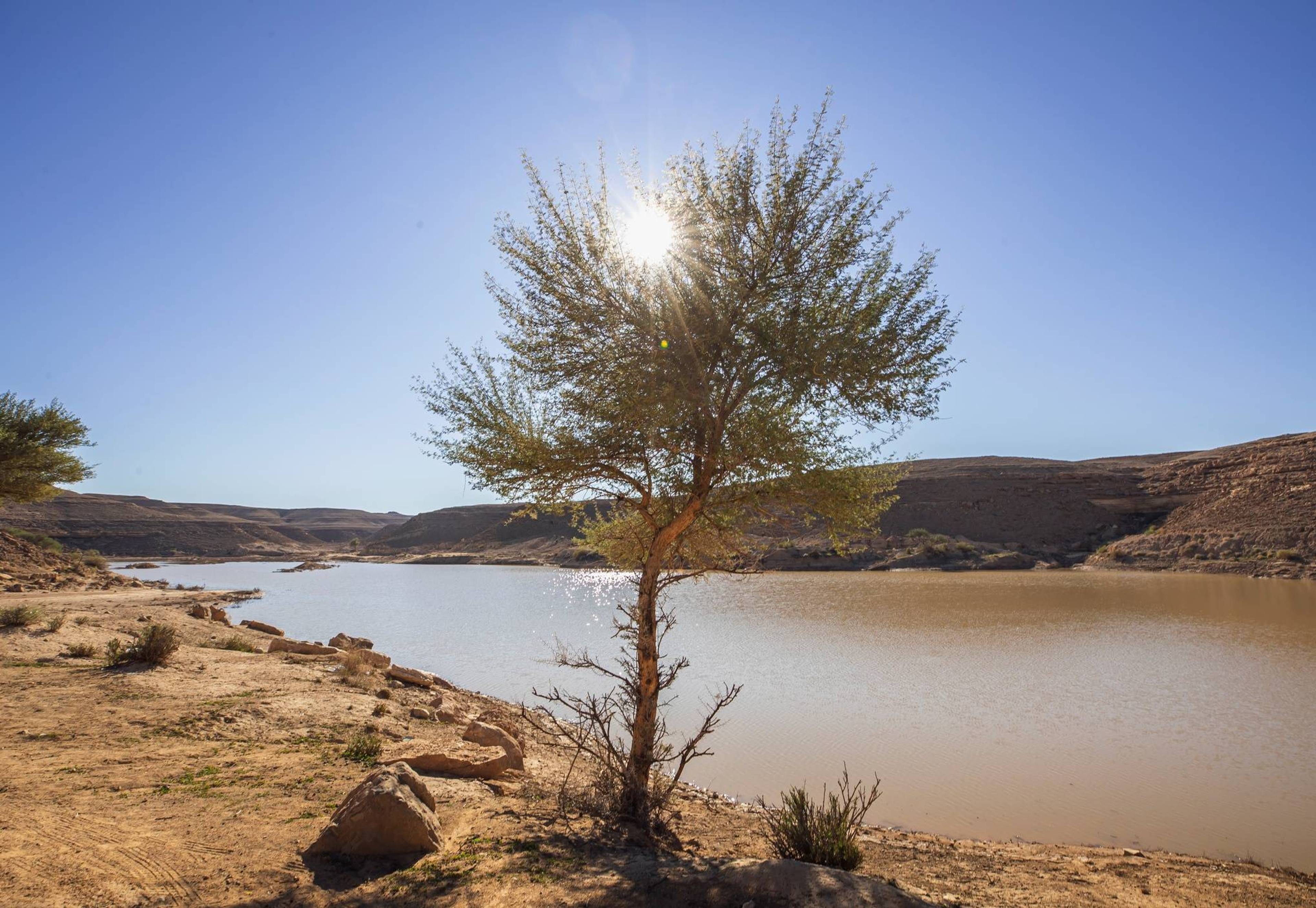 Falcon Lake