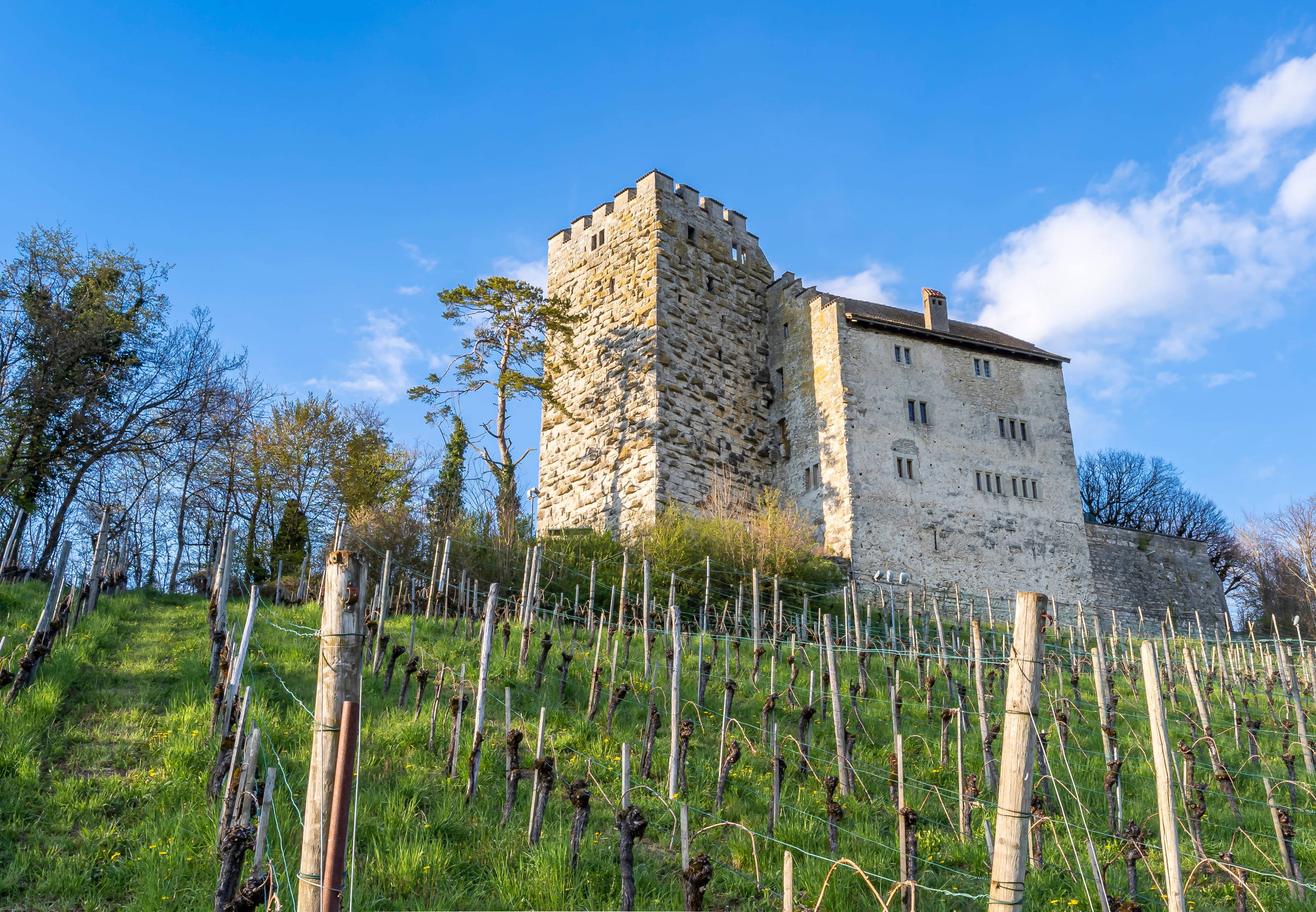 Habsburg Castle