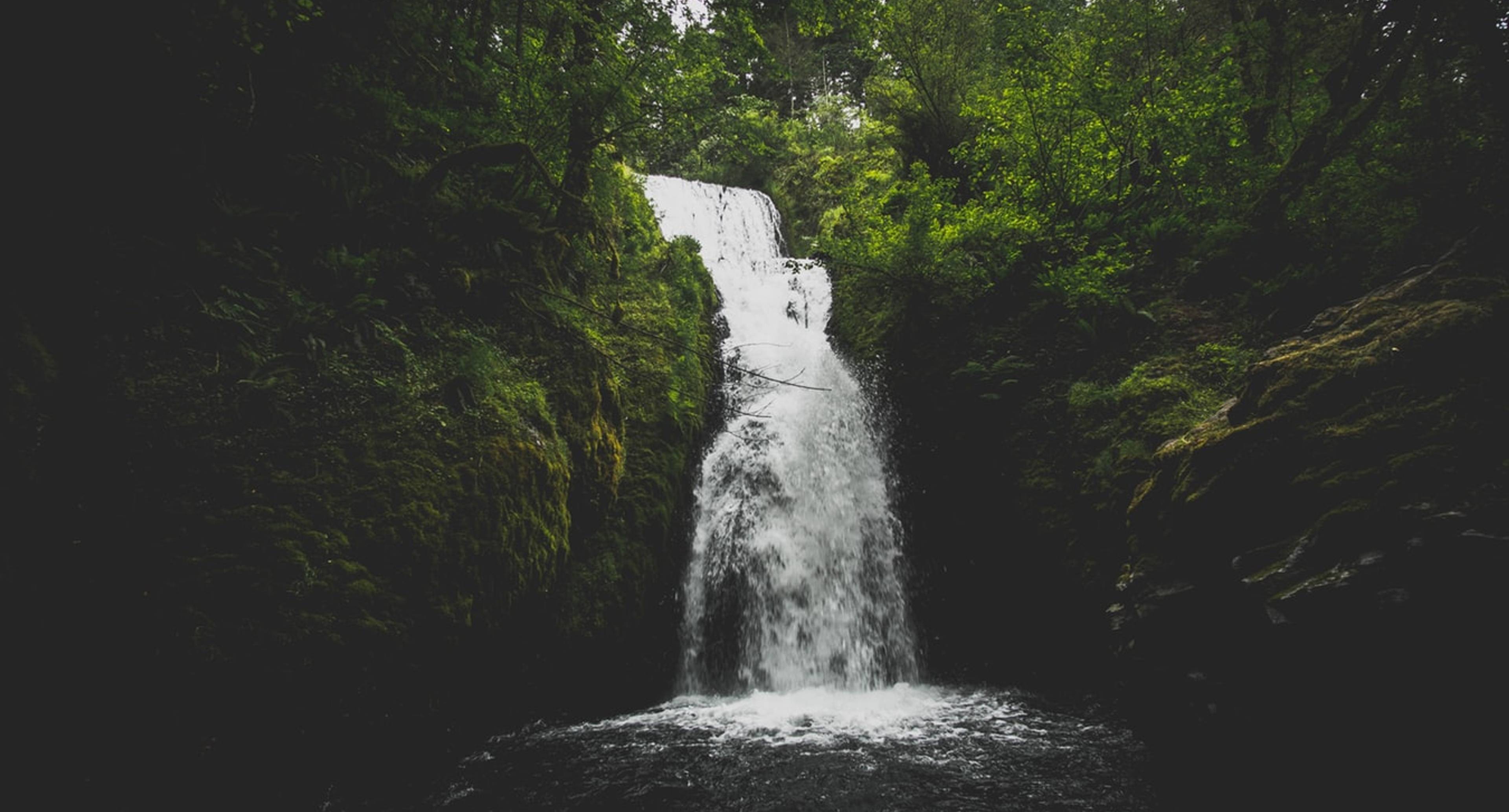 La beauté des chutes d'eau