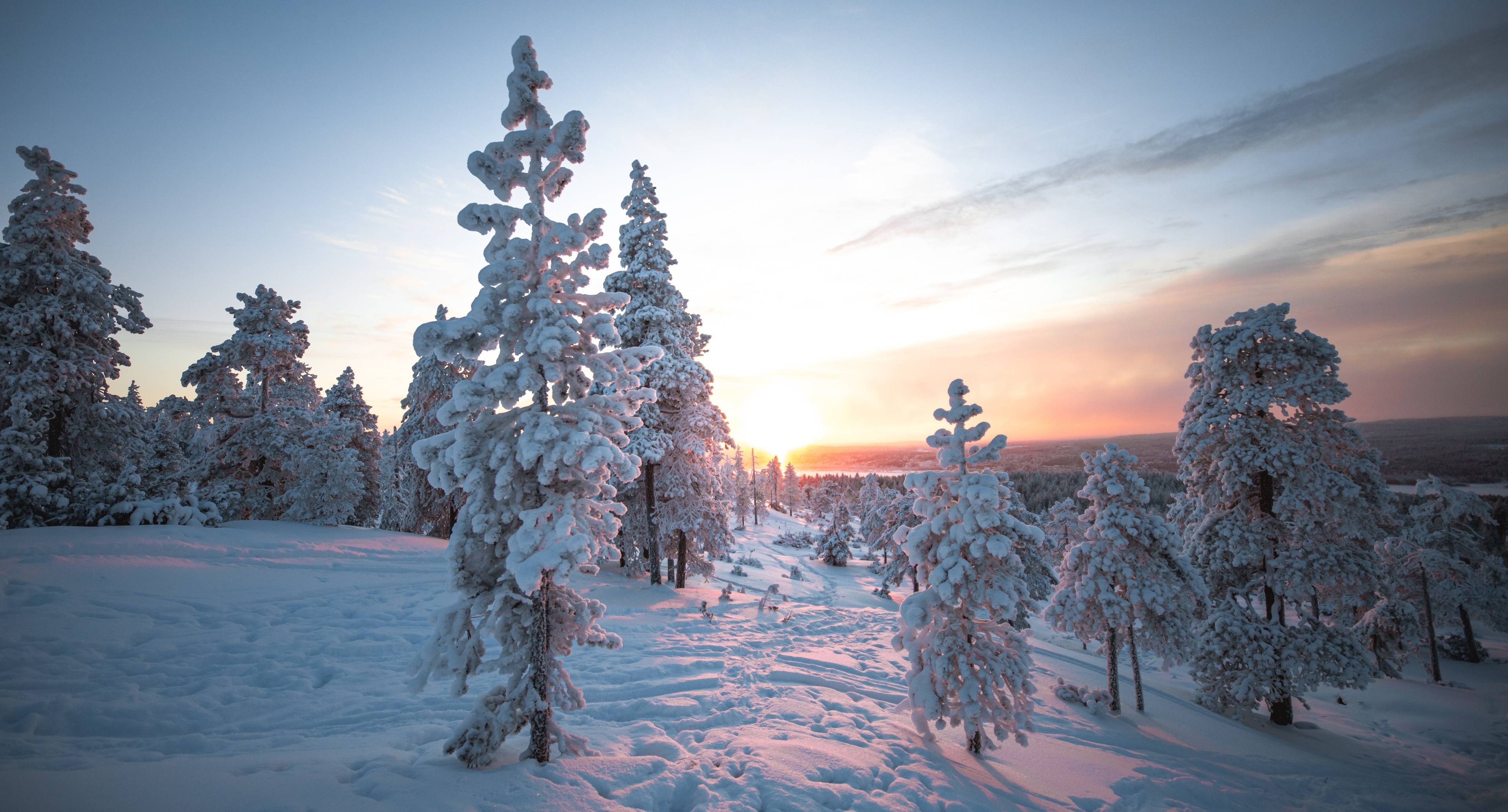 Lässige Fahrt auf dem Land zurück nach Rovaniemi
