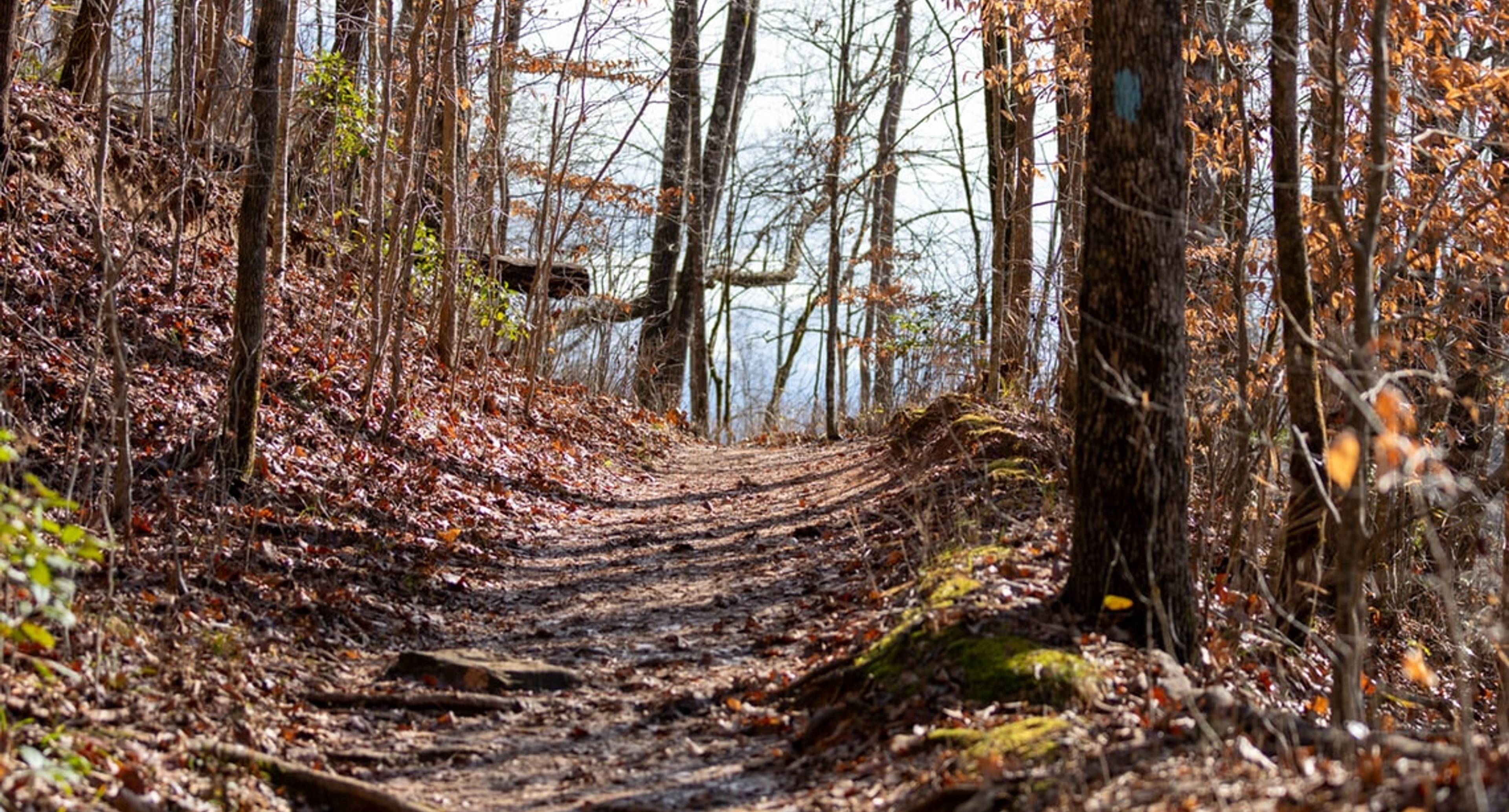 Les fabuleux paysages du parc Oconee