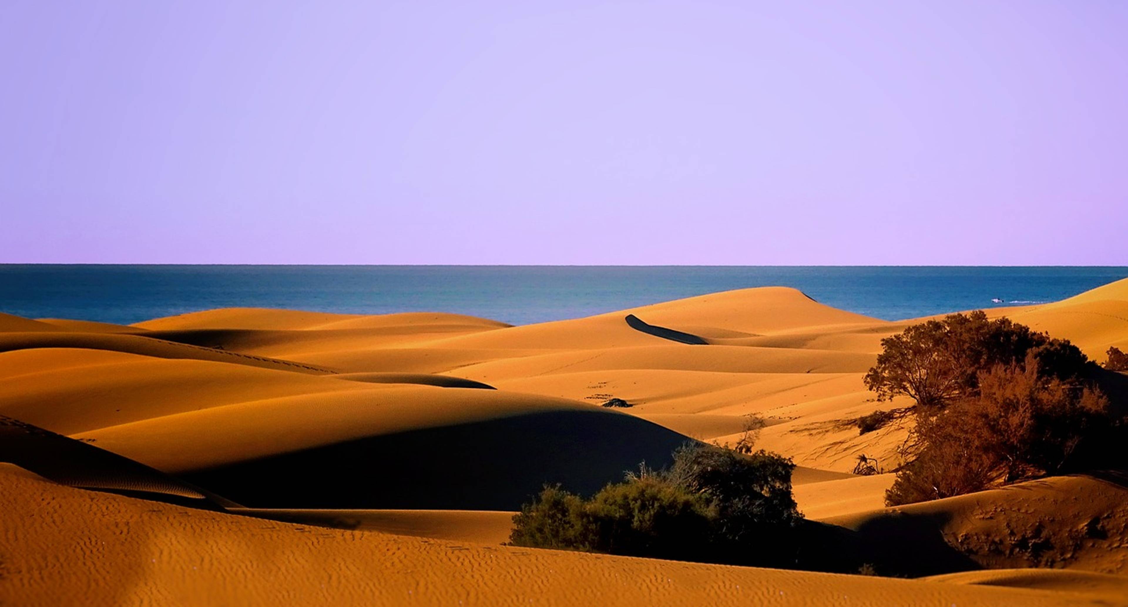 Les dunes de Maspalomas