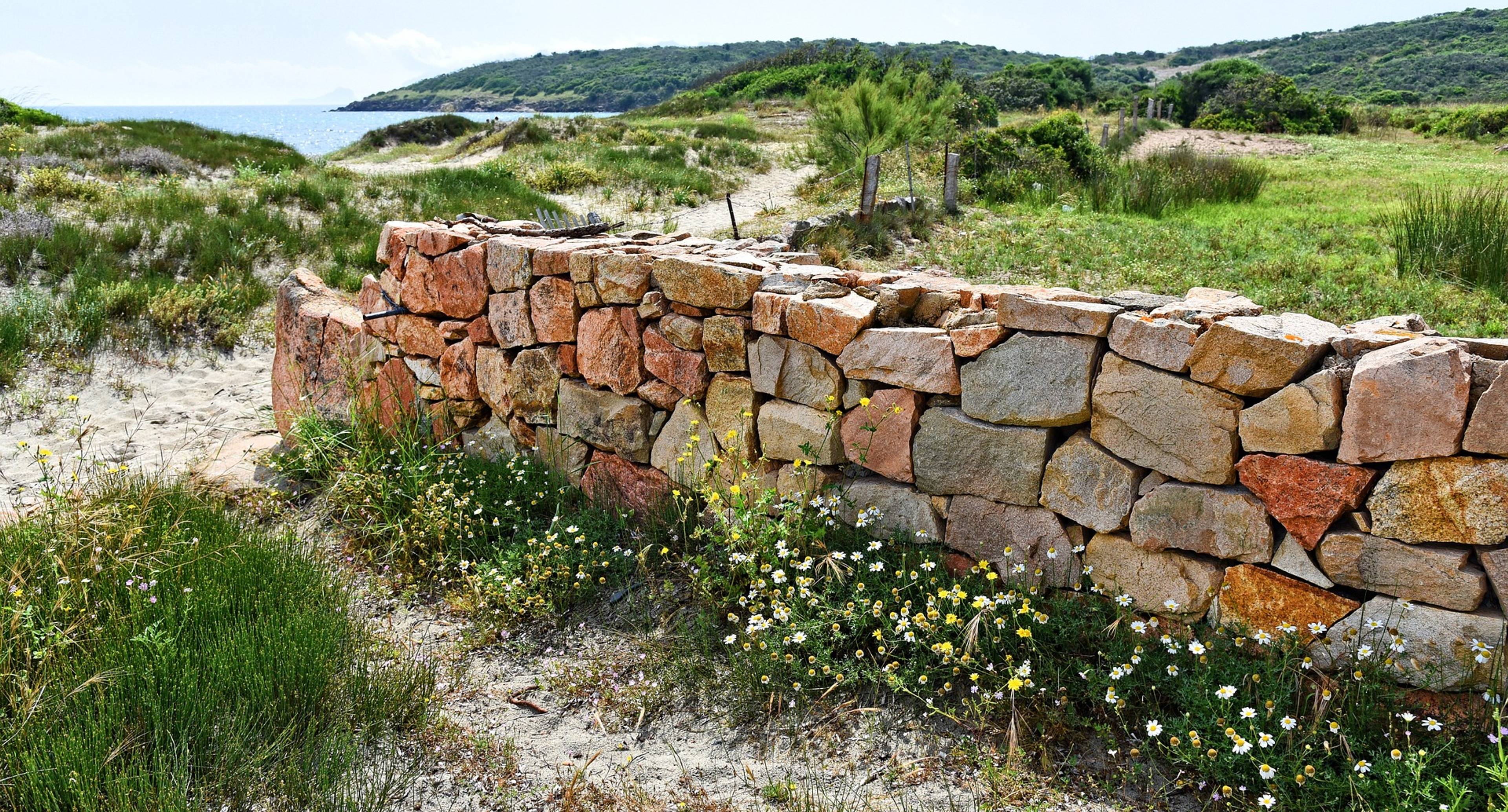 La bellezza costiera di Olbia.