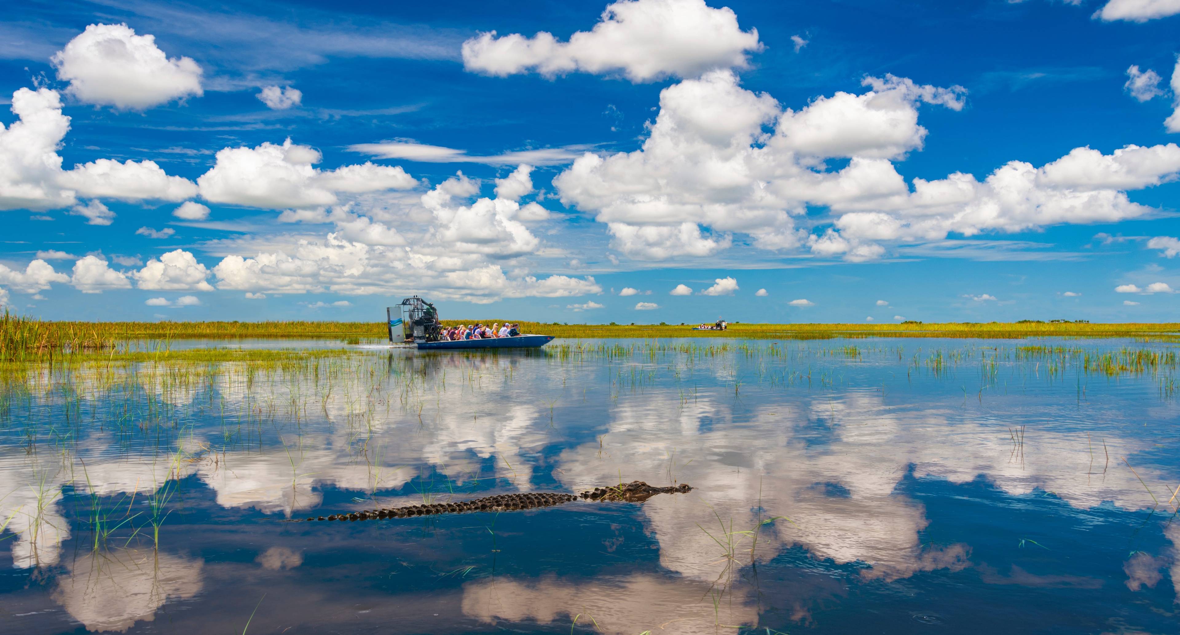 Avvicinatevi alle Everglades della Florida e scopritele da vicino