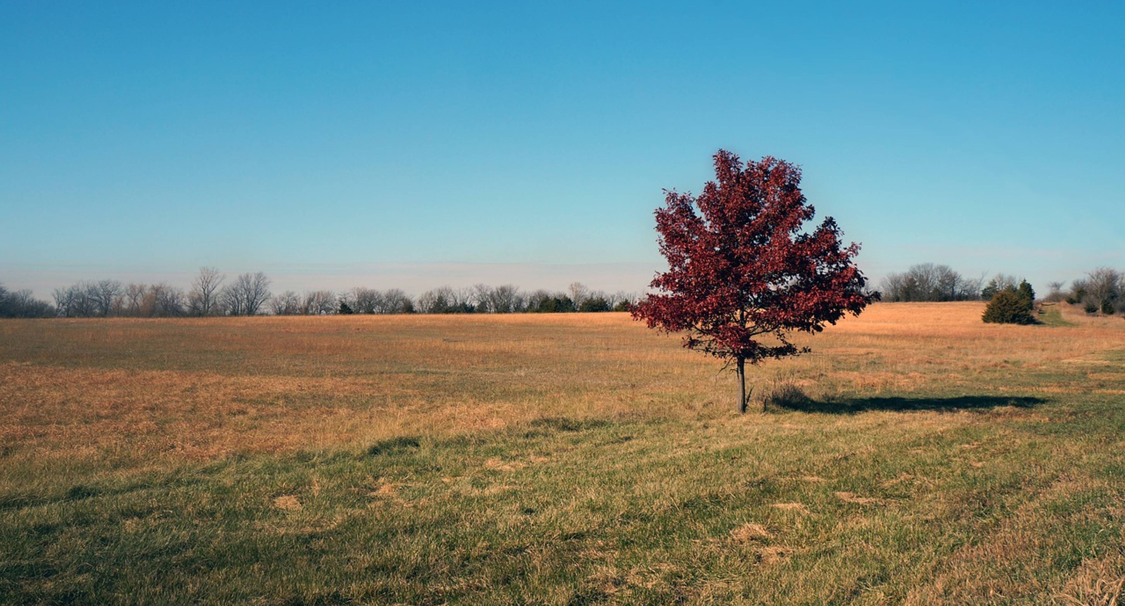 Lasciare il Kansas