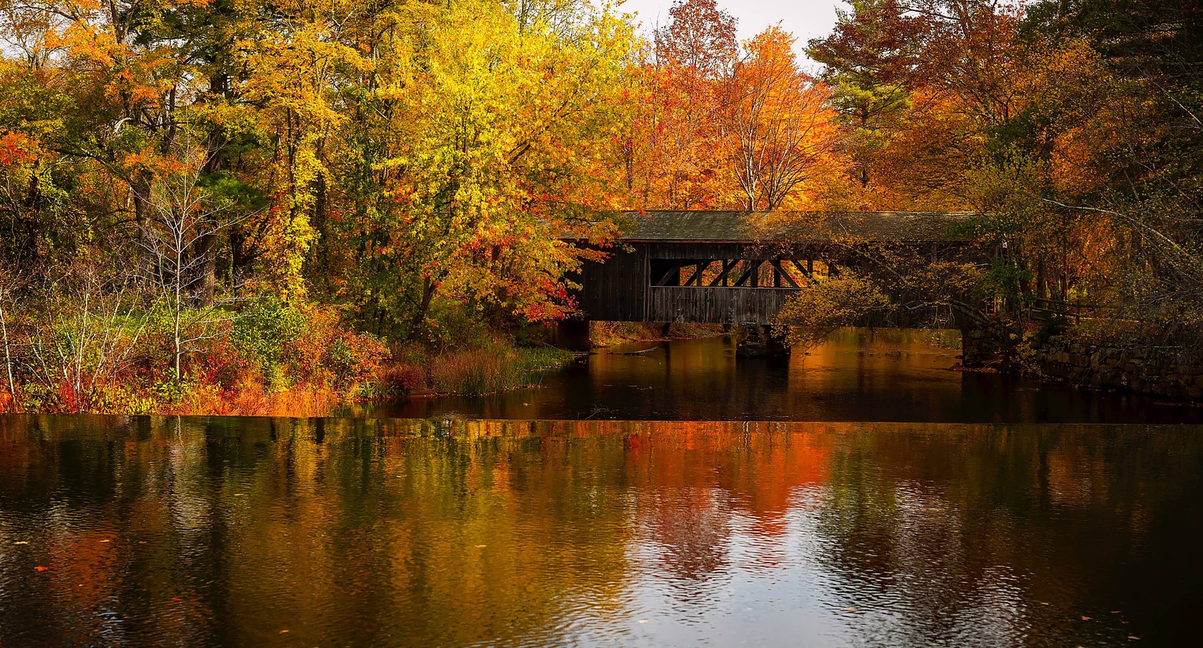 Parks and Museums in the Neighborhood of Boston