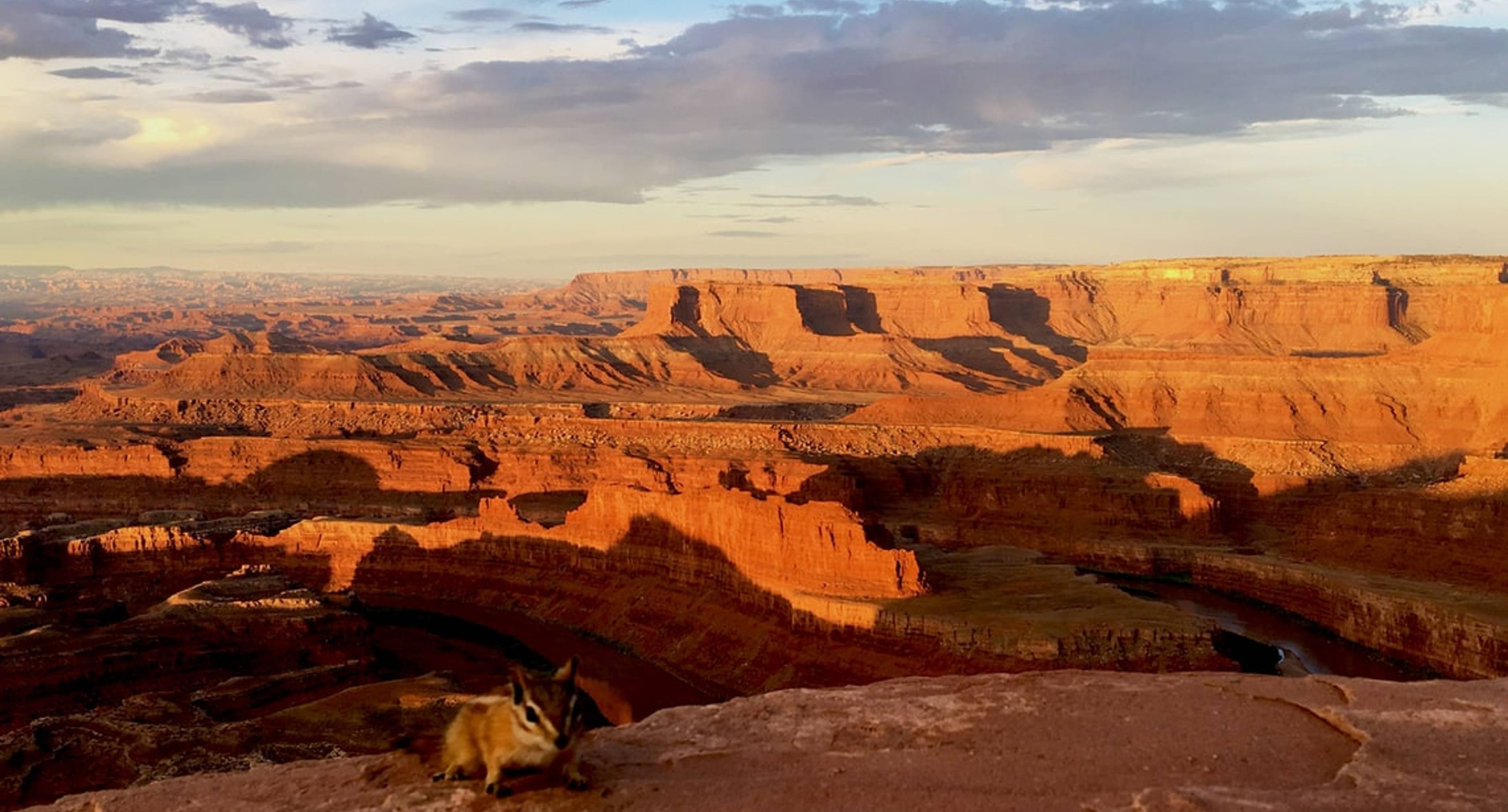 White Rim Trail