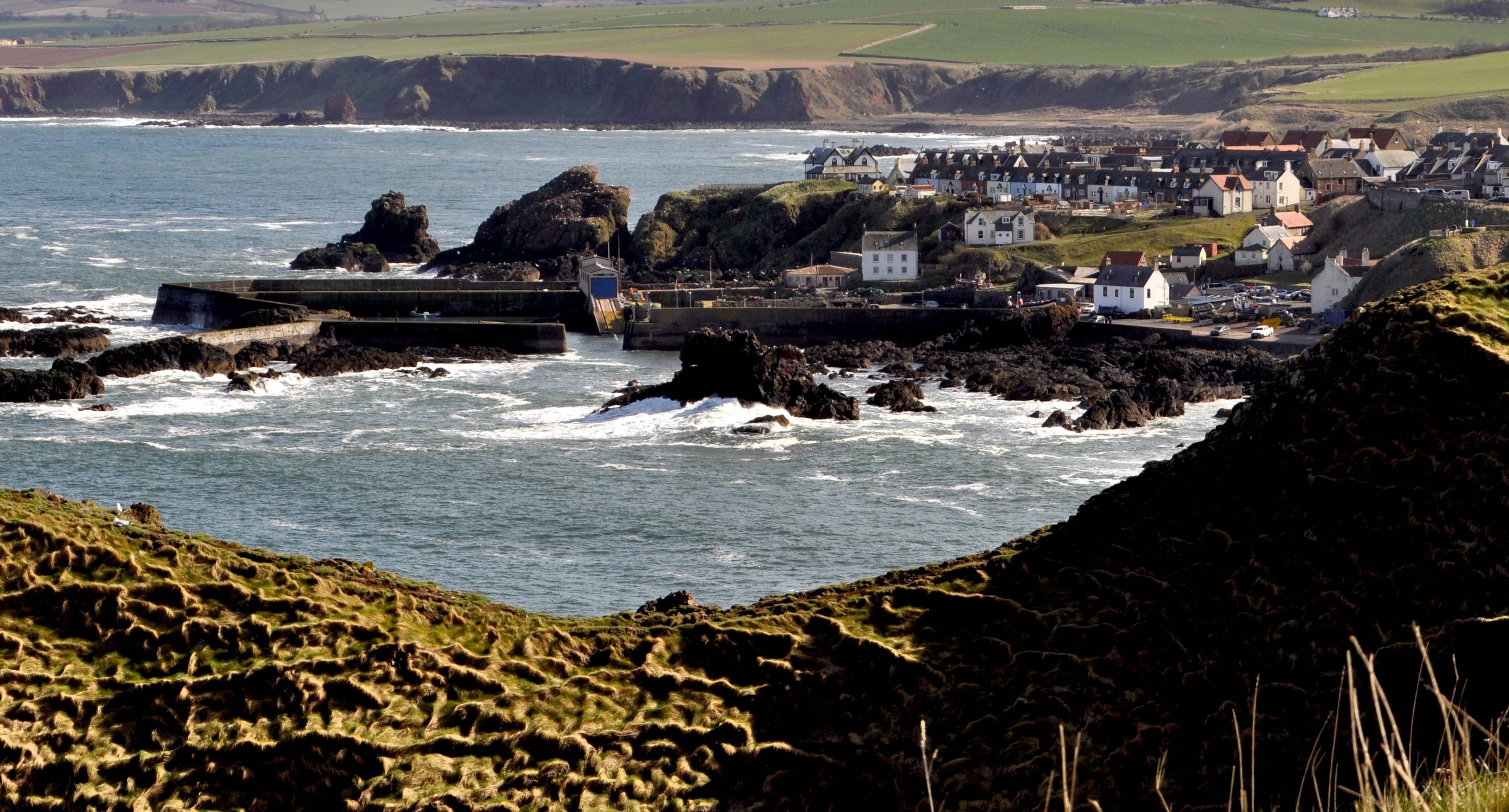 Clifftop Castles, Hidden Harbours, and a Seabird Hike