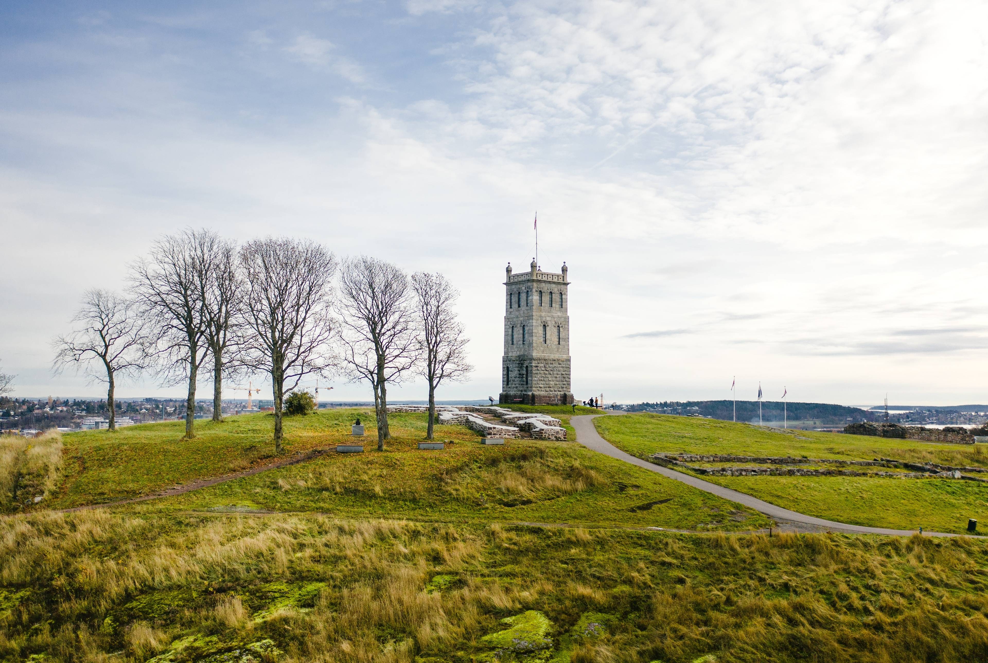 Excursión de un día de Oslo a Tønsberg: Ruinas vikingas y fortalezas medievales