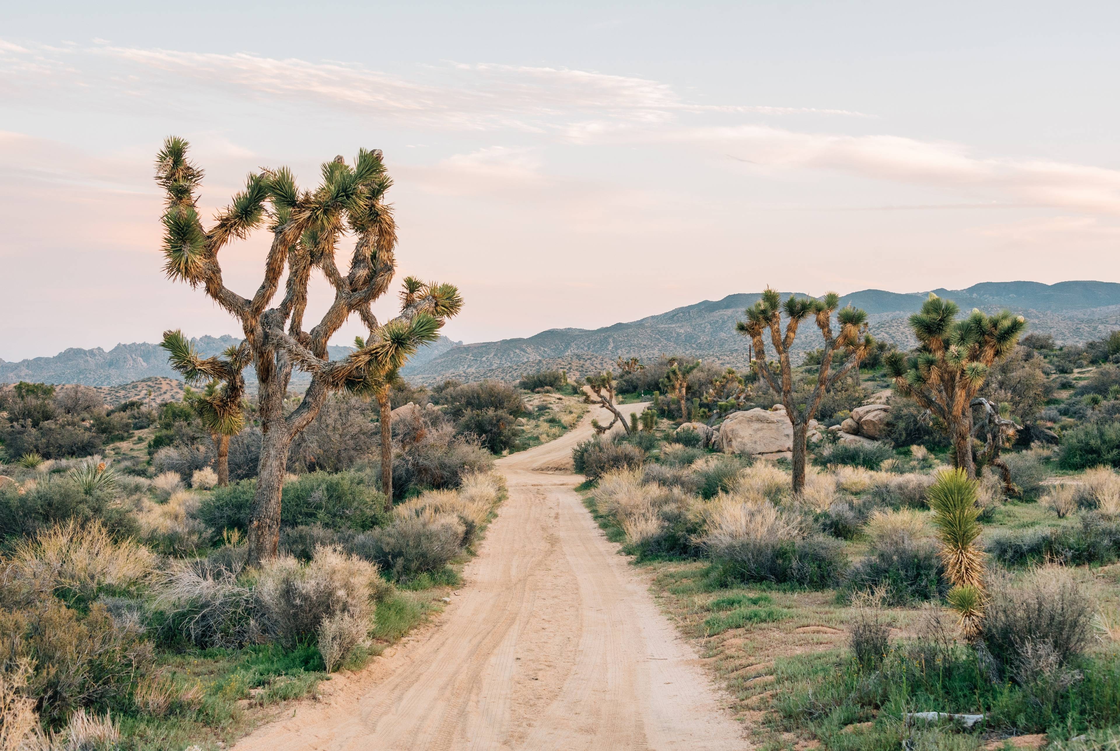 ⚡️ Дорожное путешествие по Южной Калифорнии: Пустыни, горы и долины