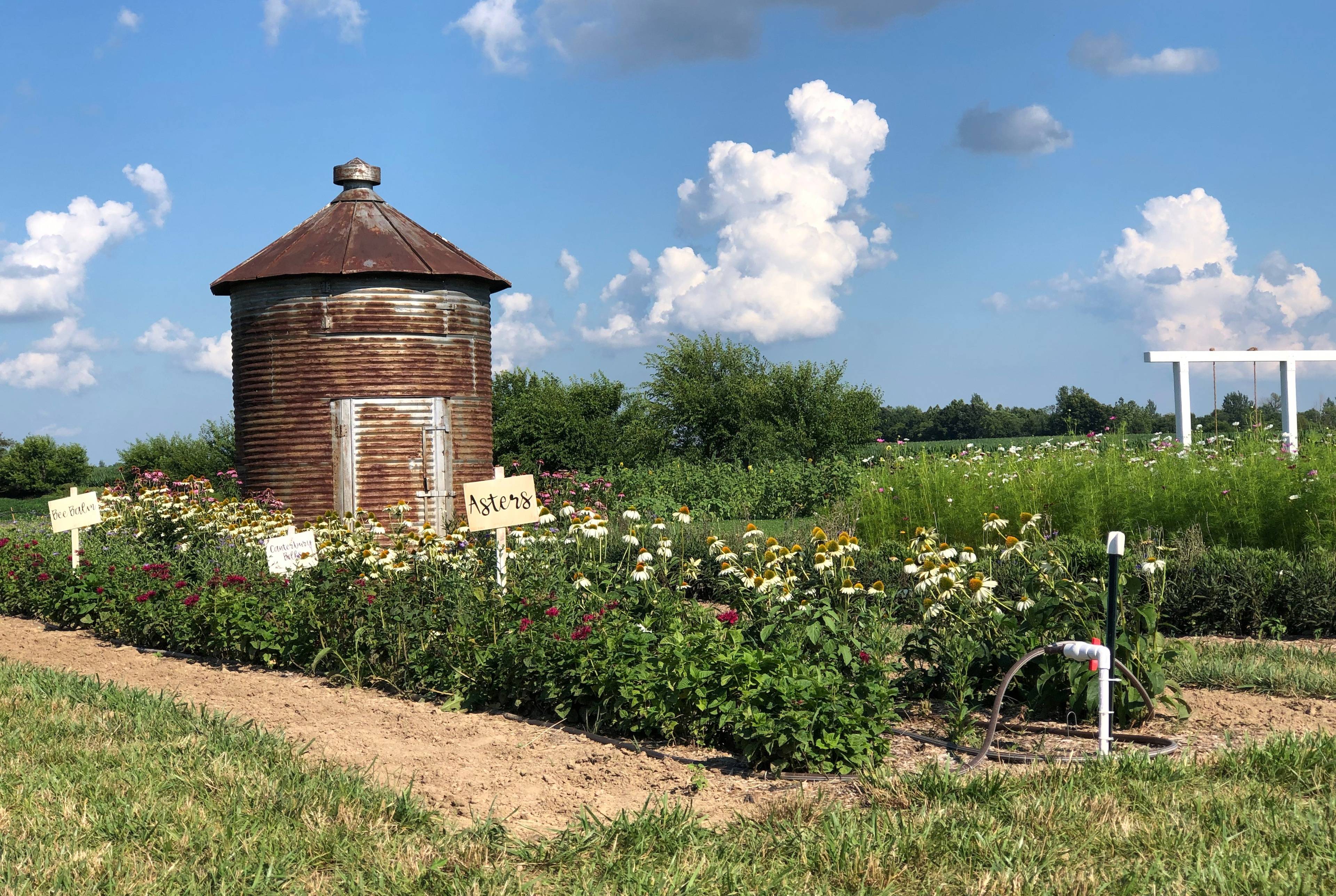 ⚡ Da Indianapolis a St. Louis: Vigneti, distillerie, Hoosiers e la sedia a dondolo più grande del mondo