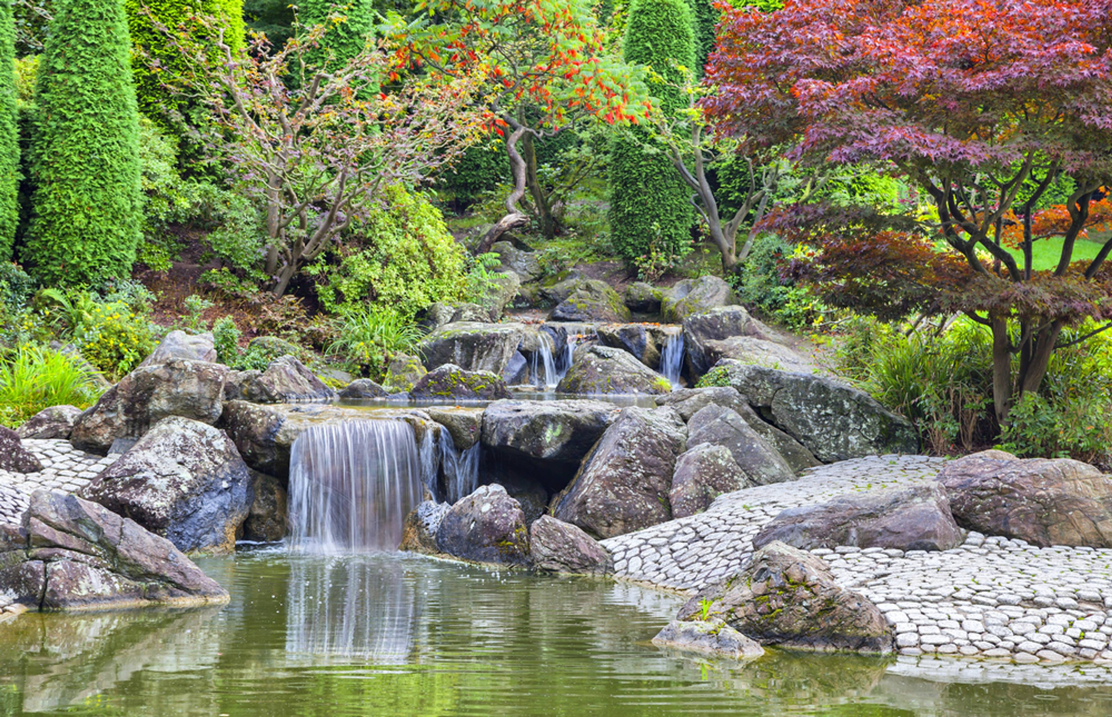 Japanese Garden