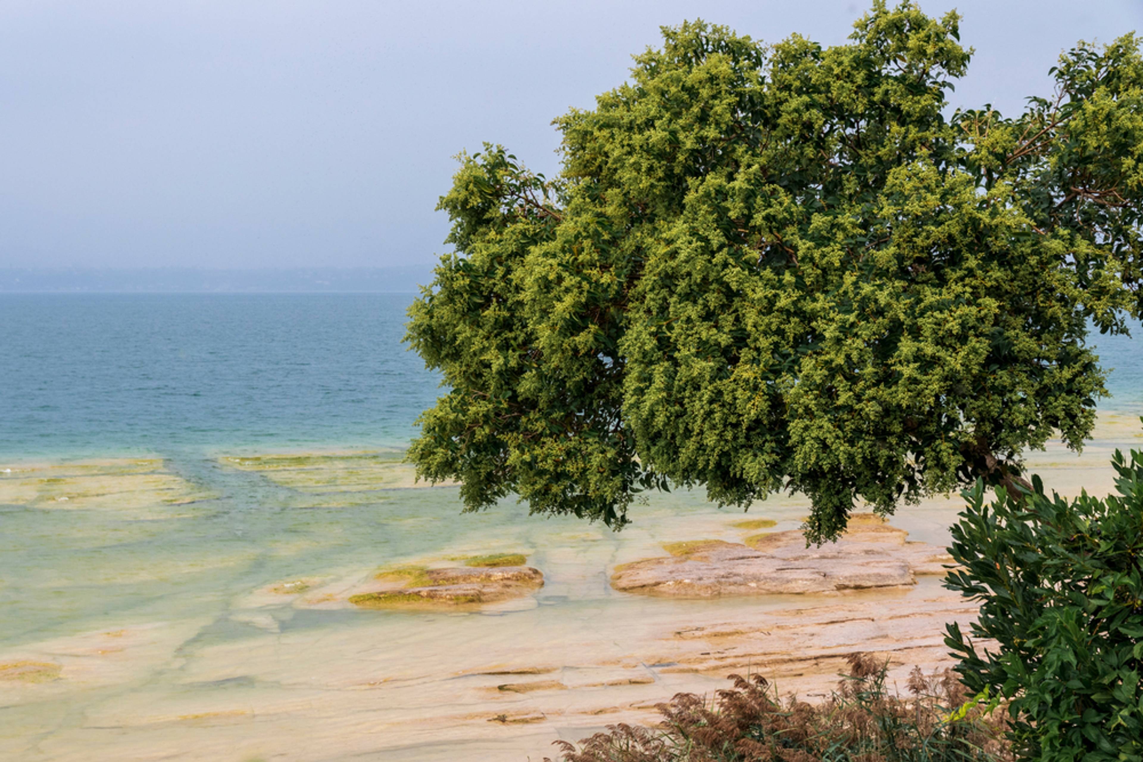 Jamaica Beach (Spiaggia Giamaica)