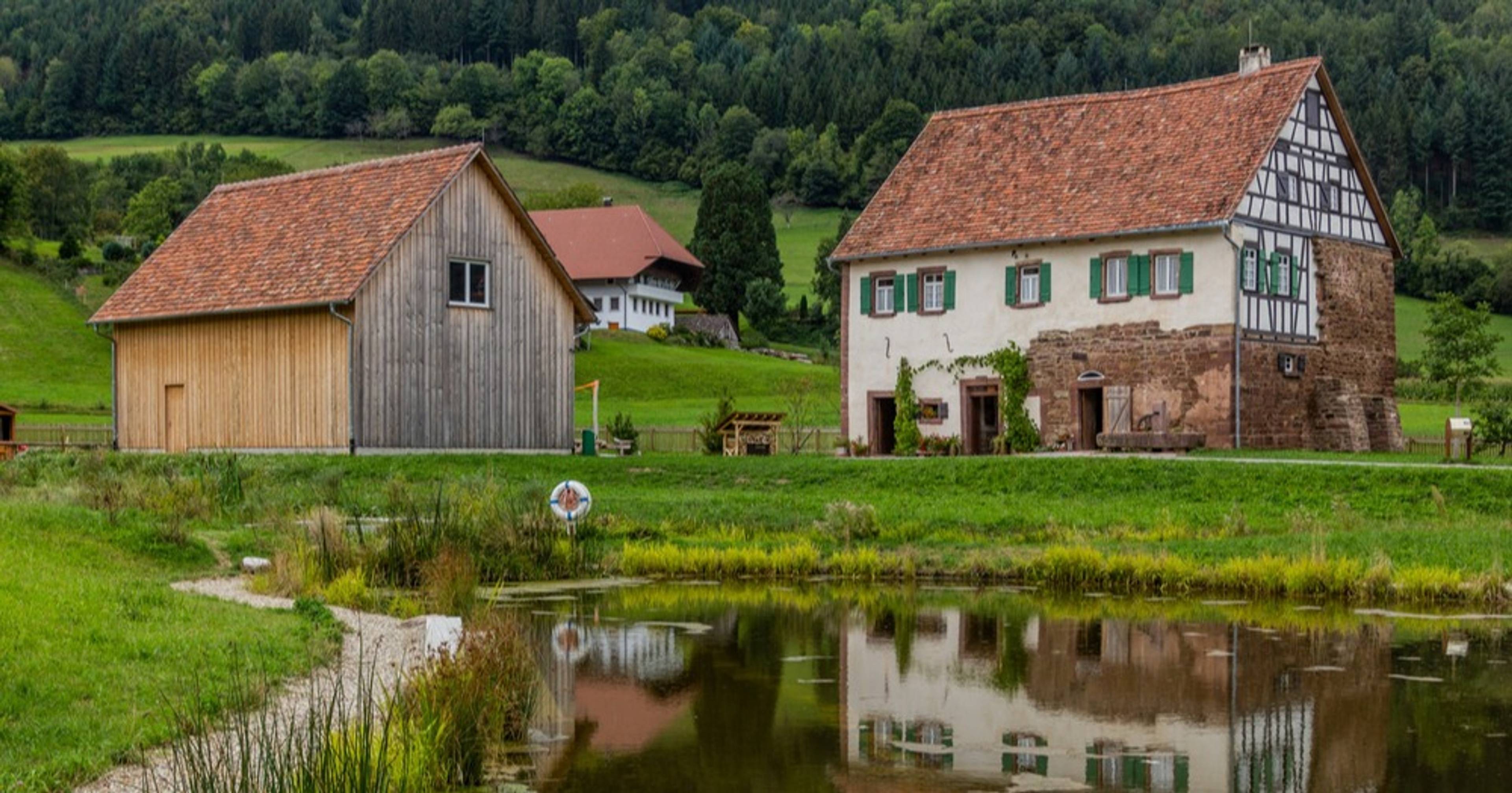 Museo a cielo aperto della Foresta Nera