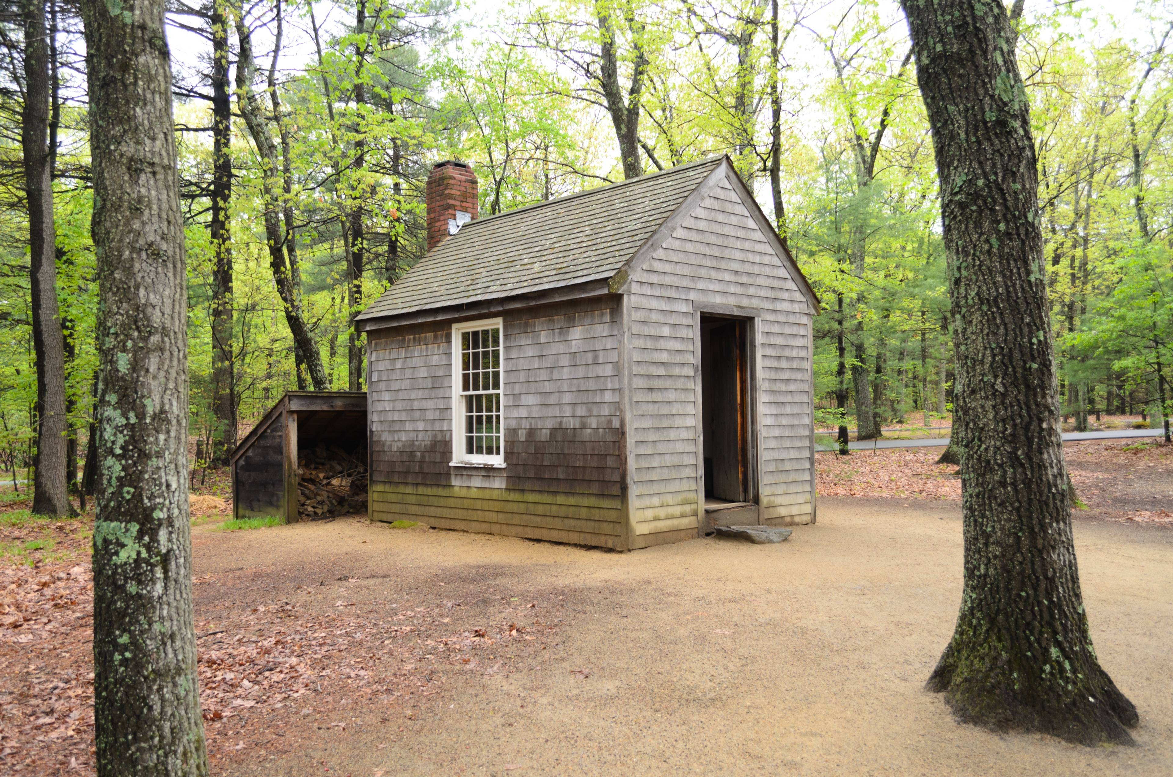 Walden Pond State Reservation