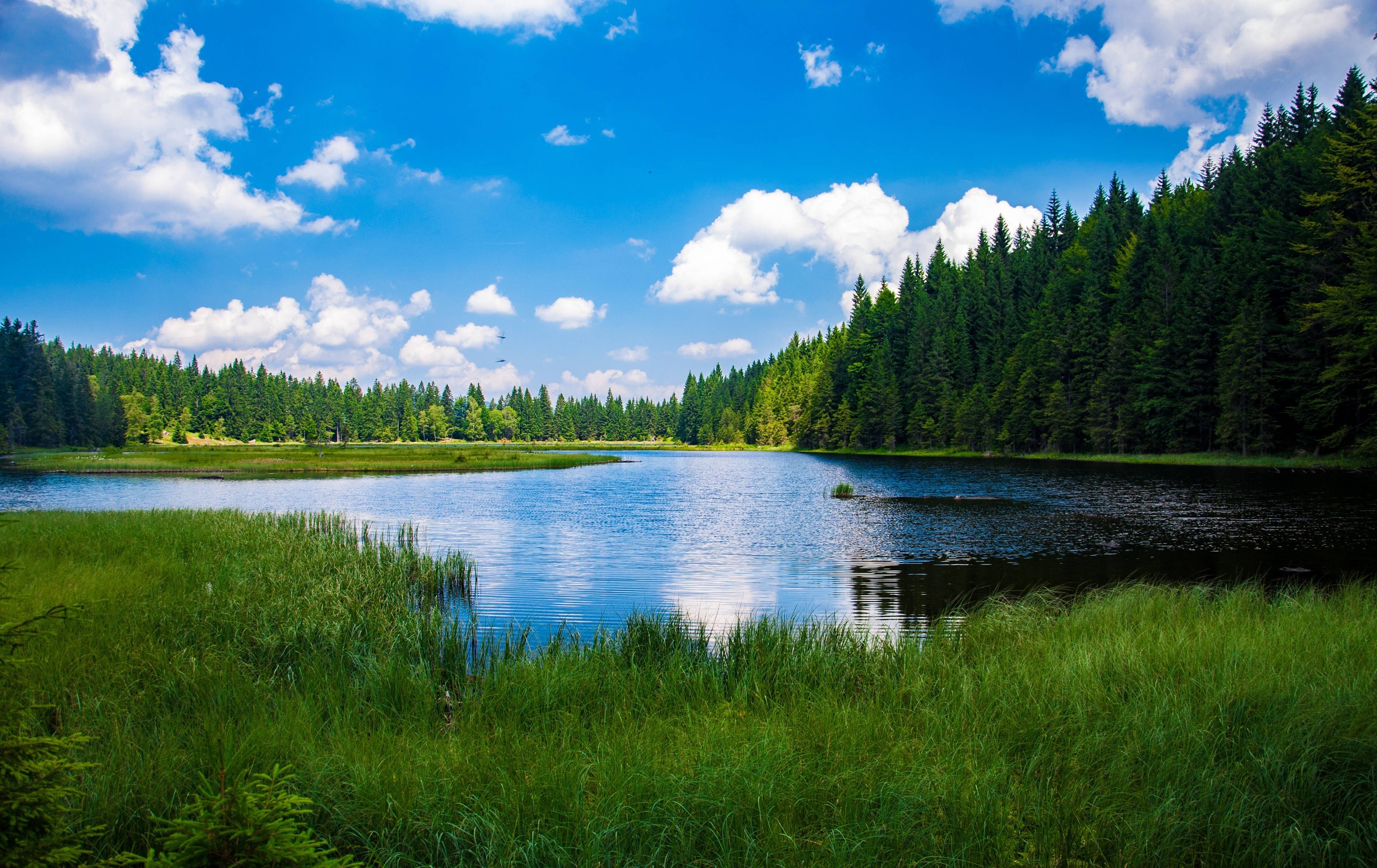 National Park "Pripyshminskiye Bory" (Talitskaya dacha)