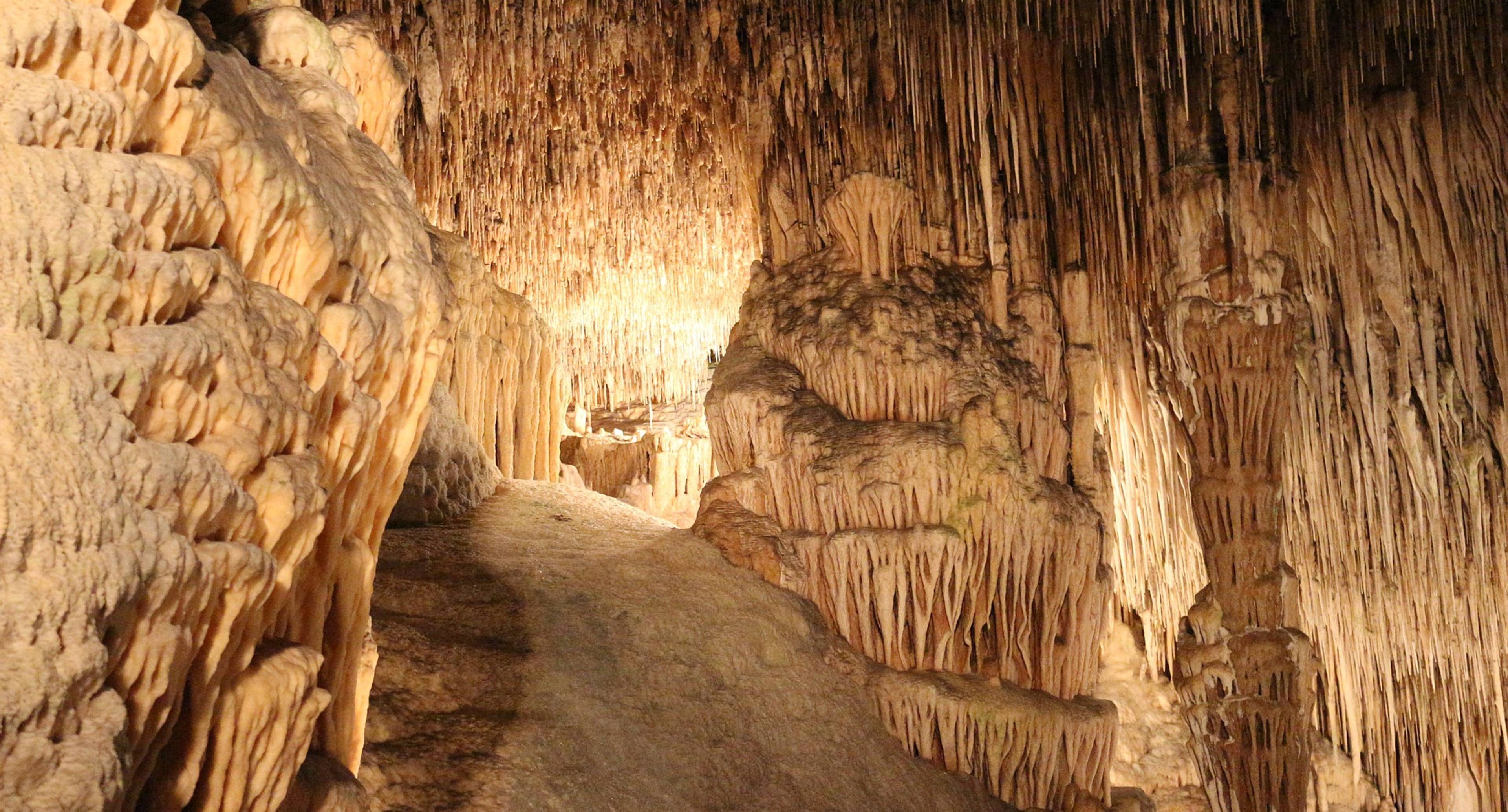Les grottes du Drach