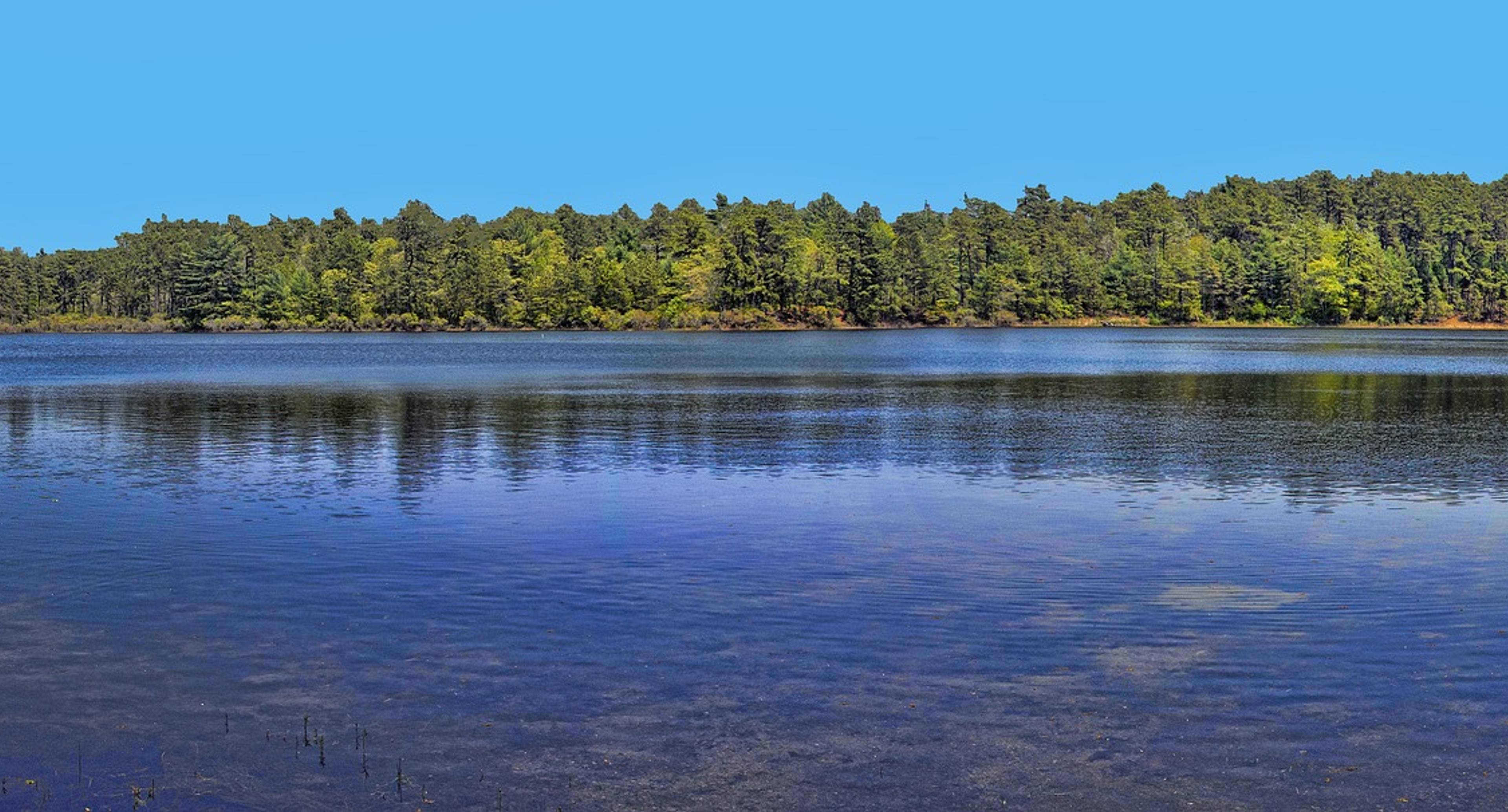 Visiter les parcs et les musées