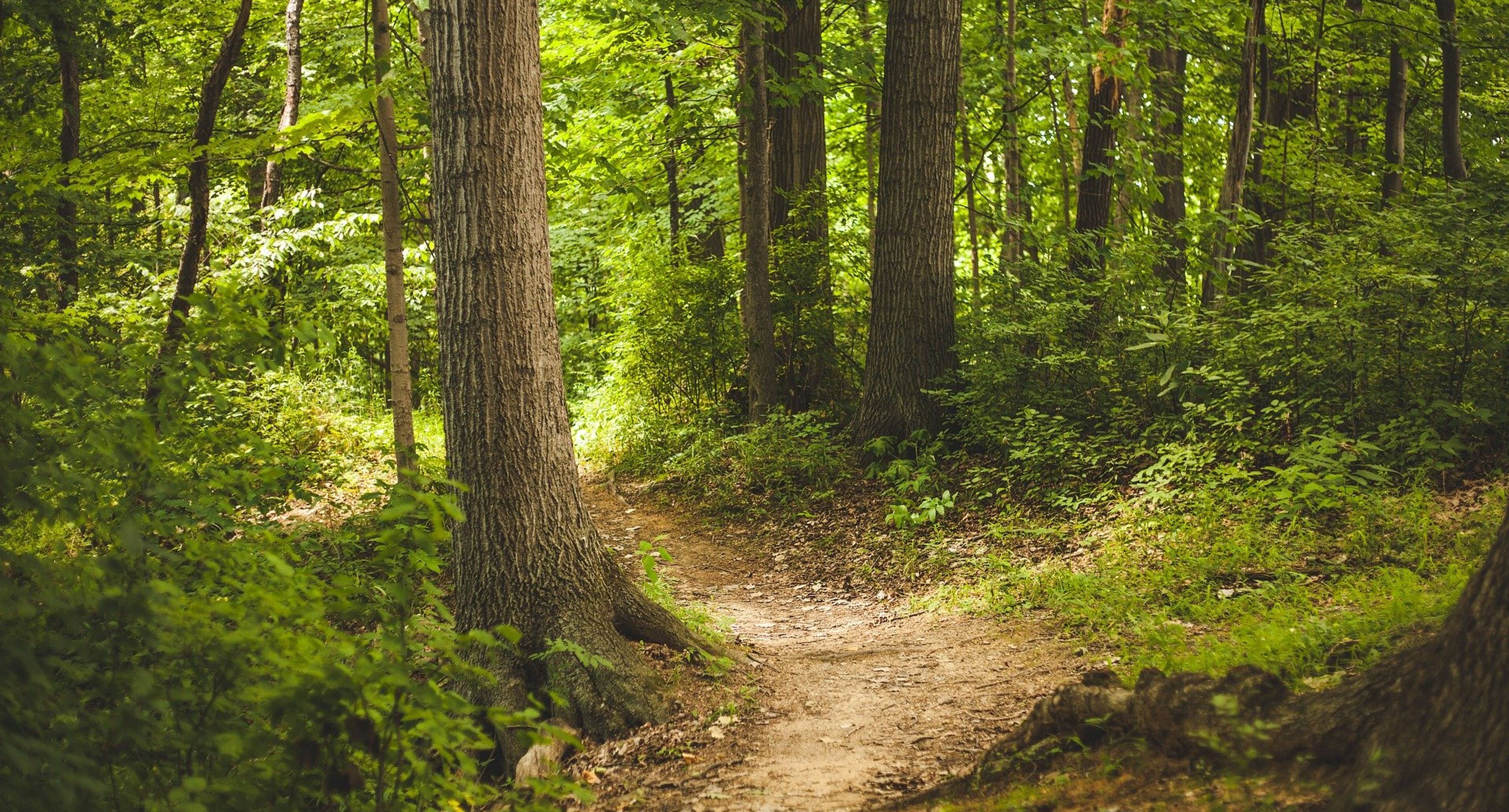 Piestra ist ein Land der unberührten Natur.