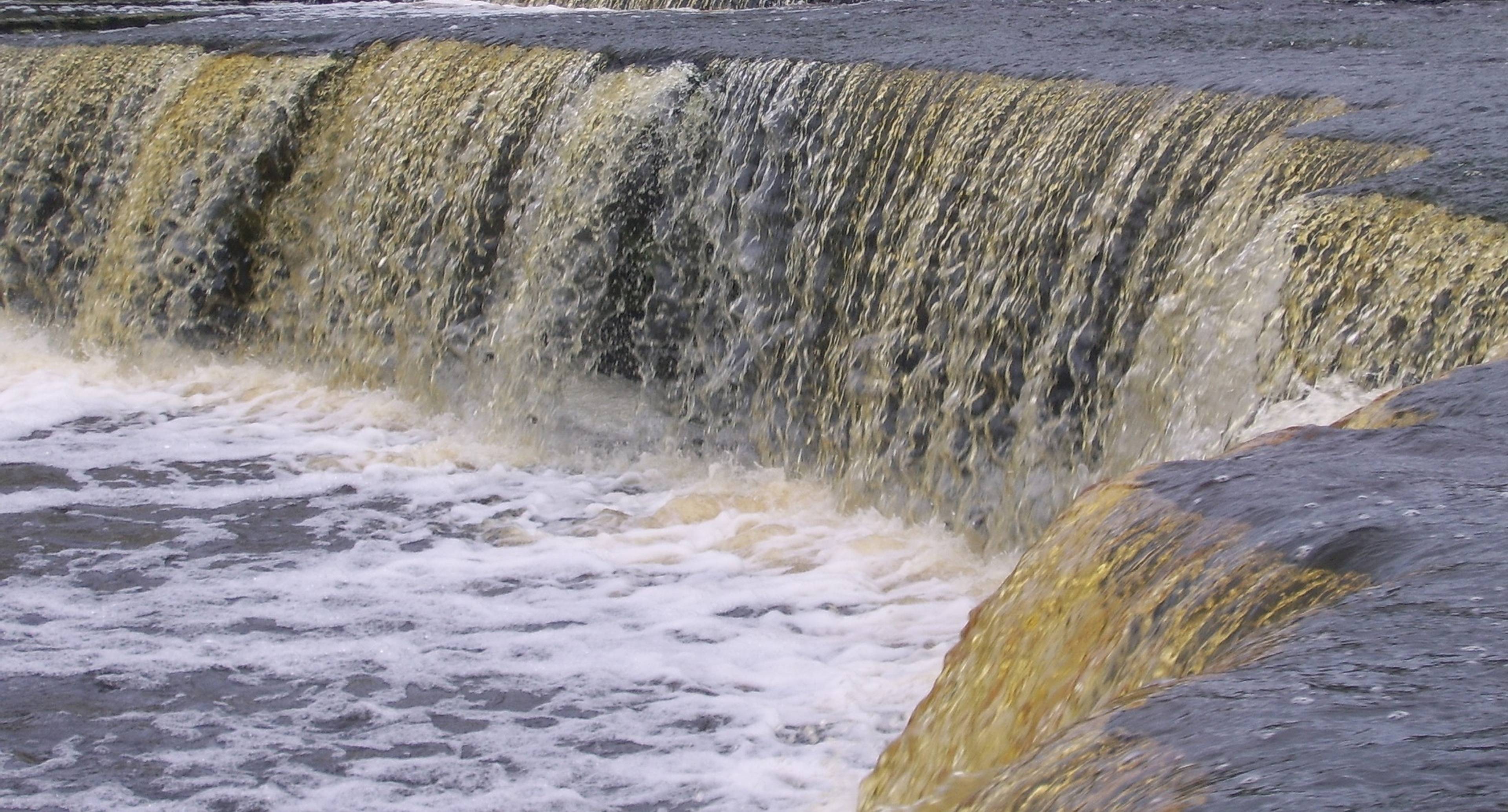 Fattoria degli struzzi del Leone e cascata Sablinsky