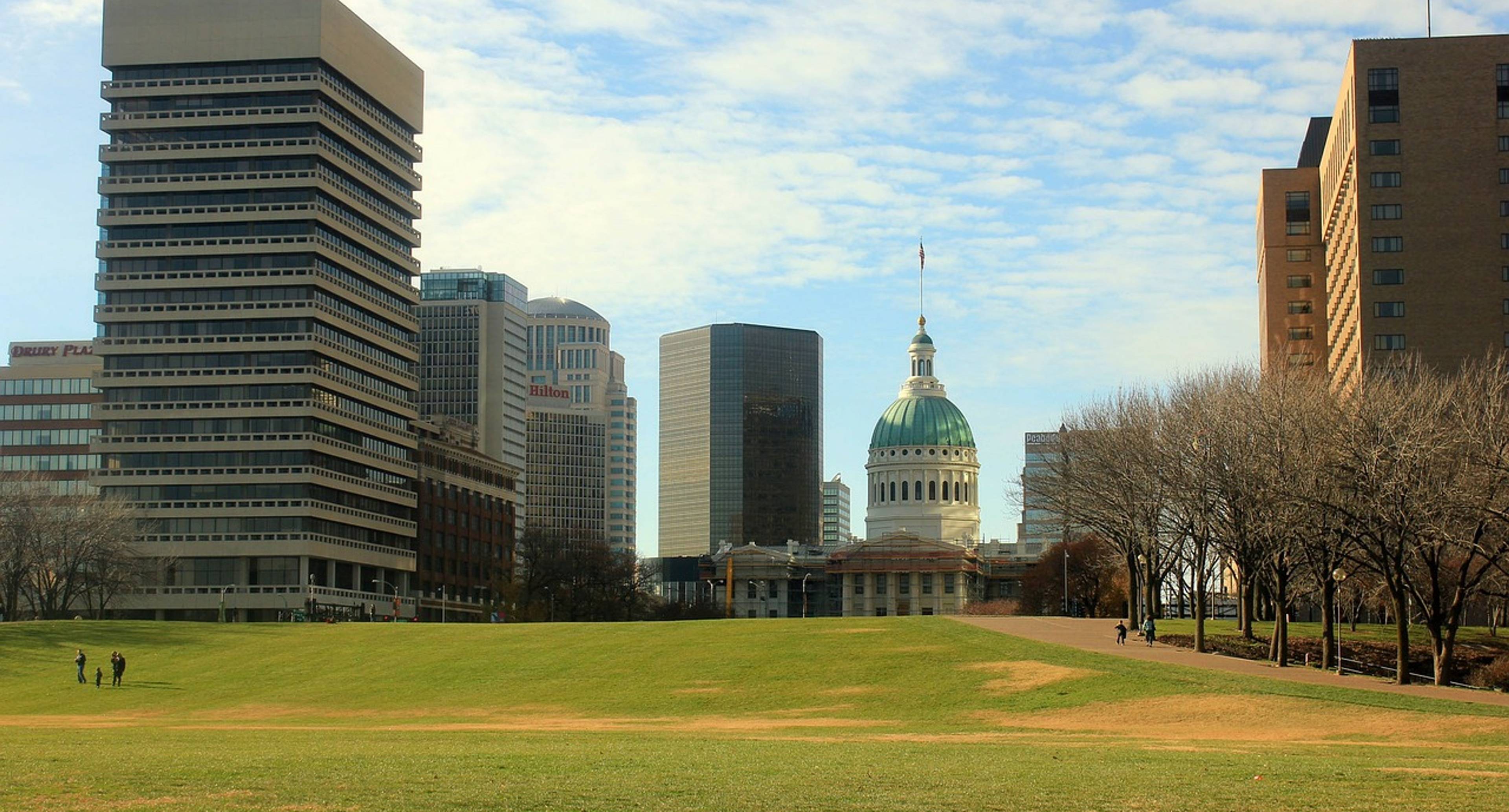 Attraverso i musei di St Louis