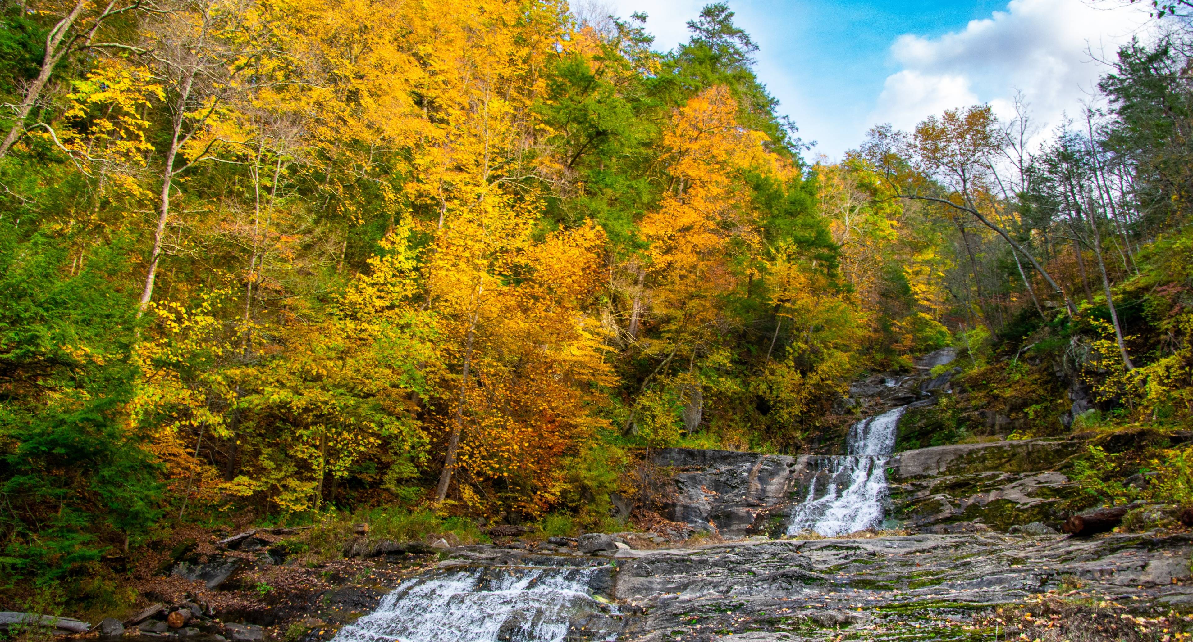 Mangez le long votre chemin longeant la côte du Connecticut