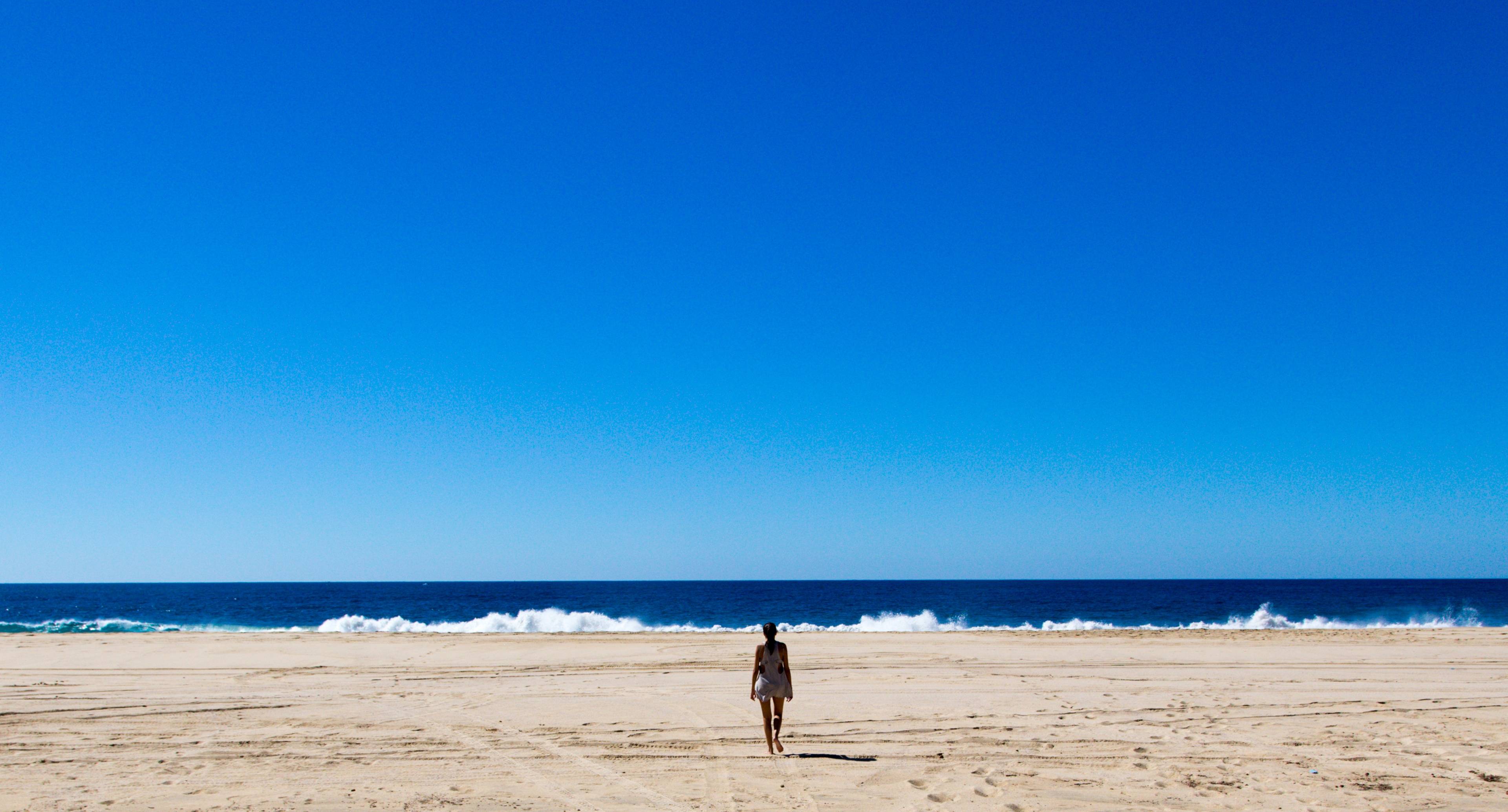 Todos Santos: Wo Kunst und Kultur auf das Meer treffen