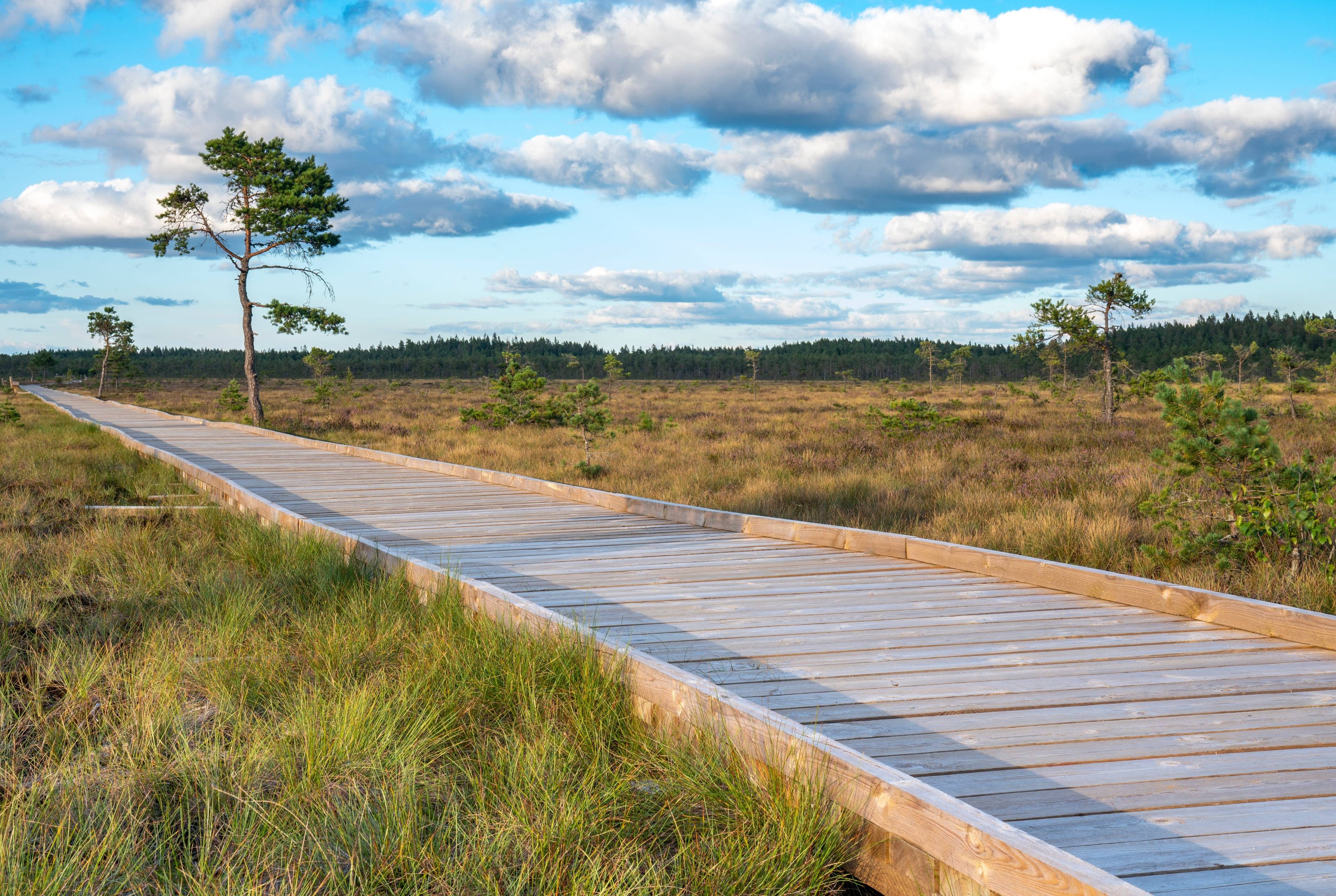 Göteborg 3 jours aller-retour : Parcours aventure et parcs naturels de Venture