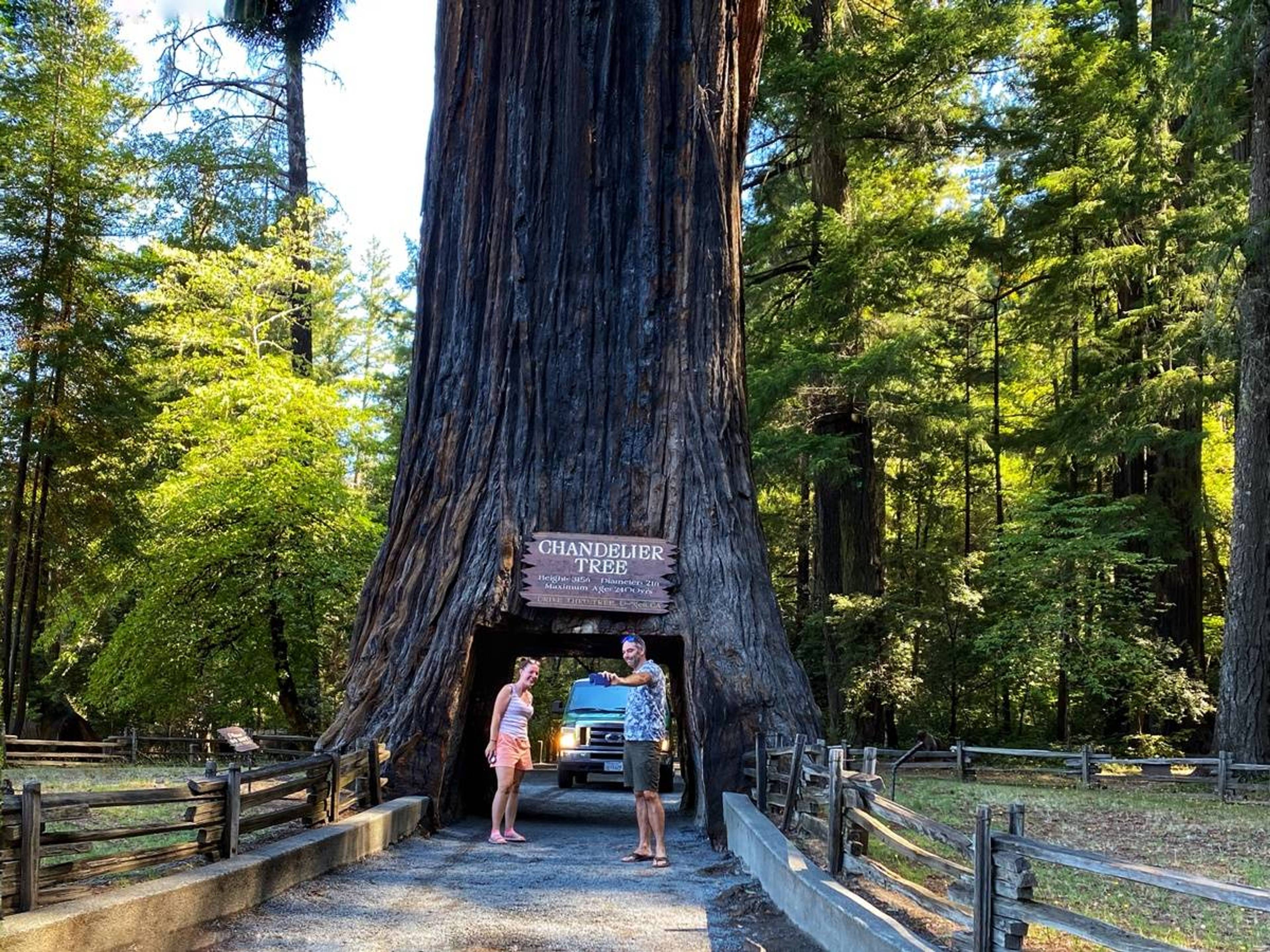 Drive-Thru Tree Park