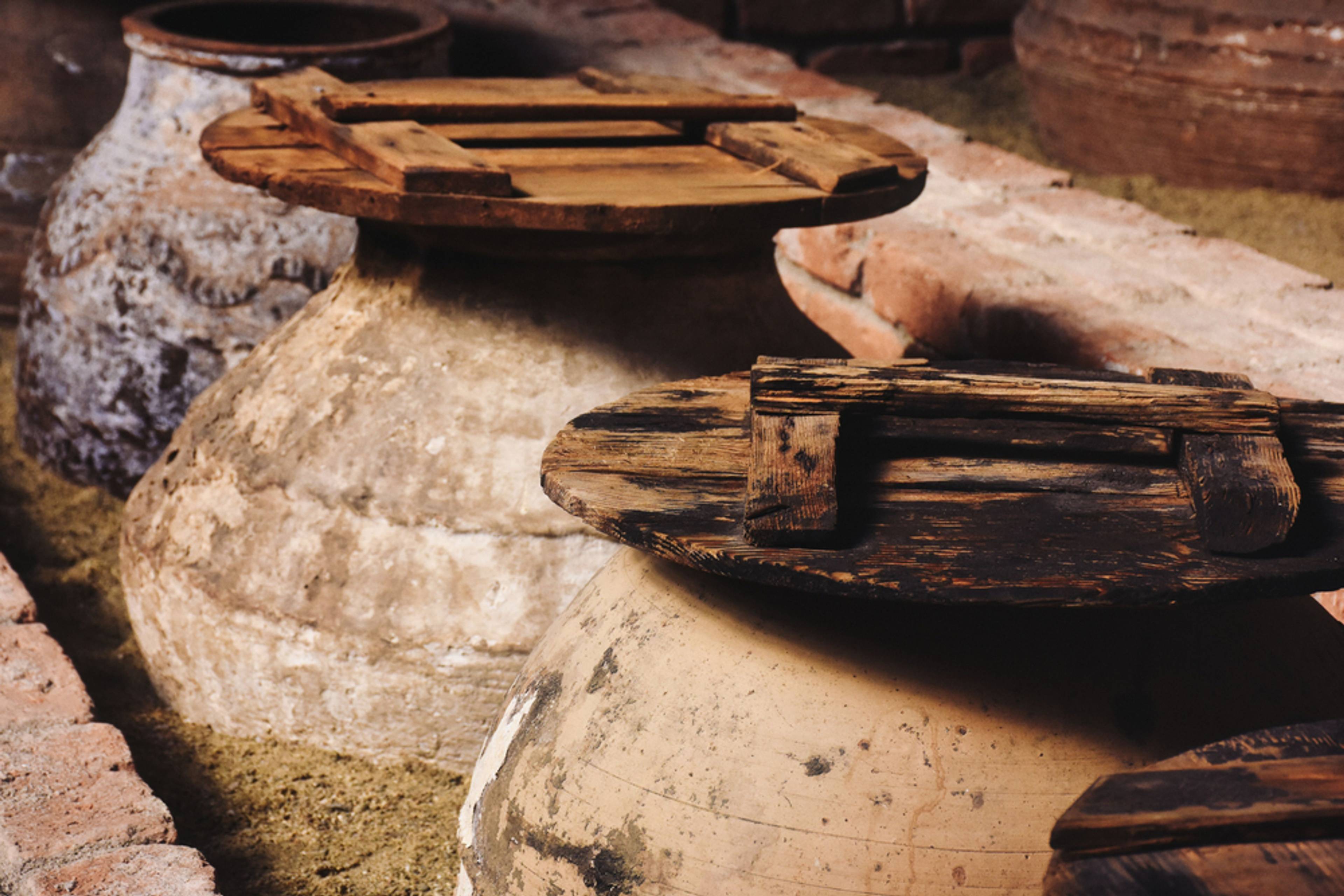 Matera Olive Oil Museum