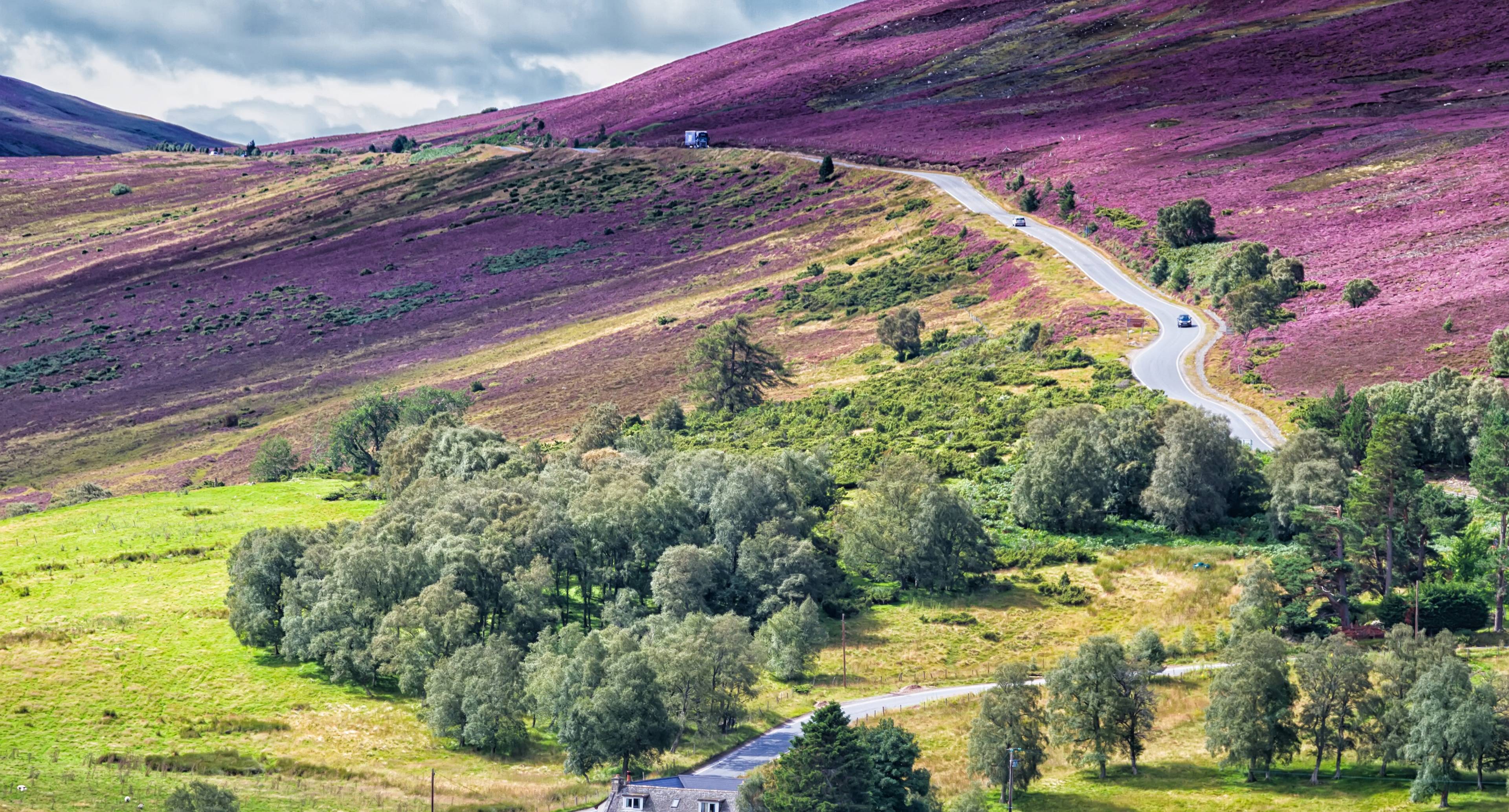 The Magnificent Mountains of the Highlands