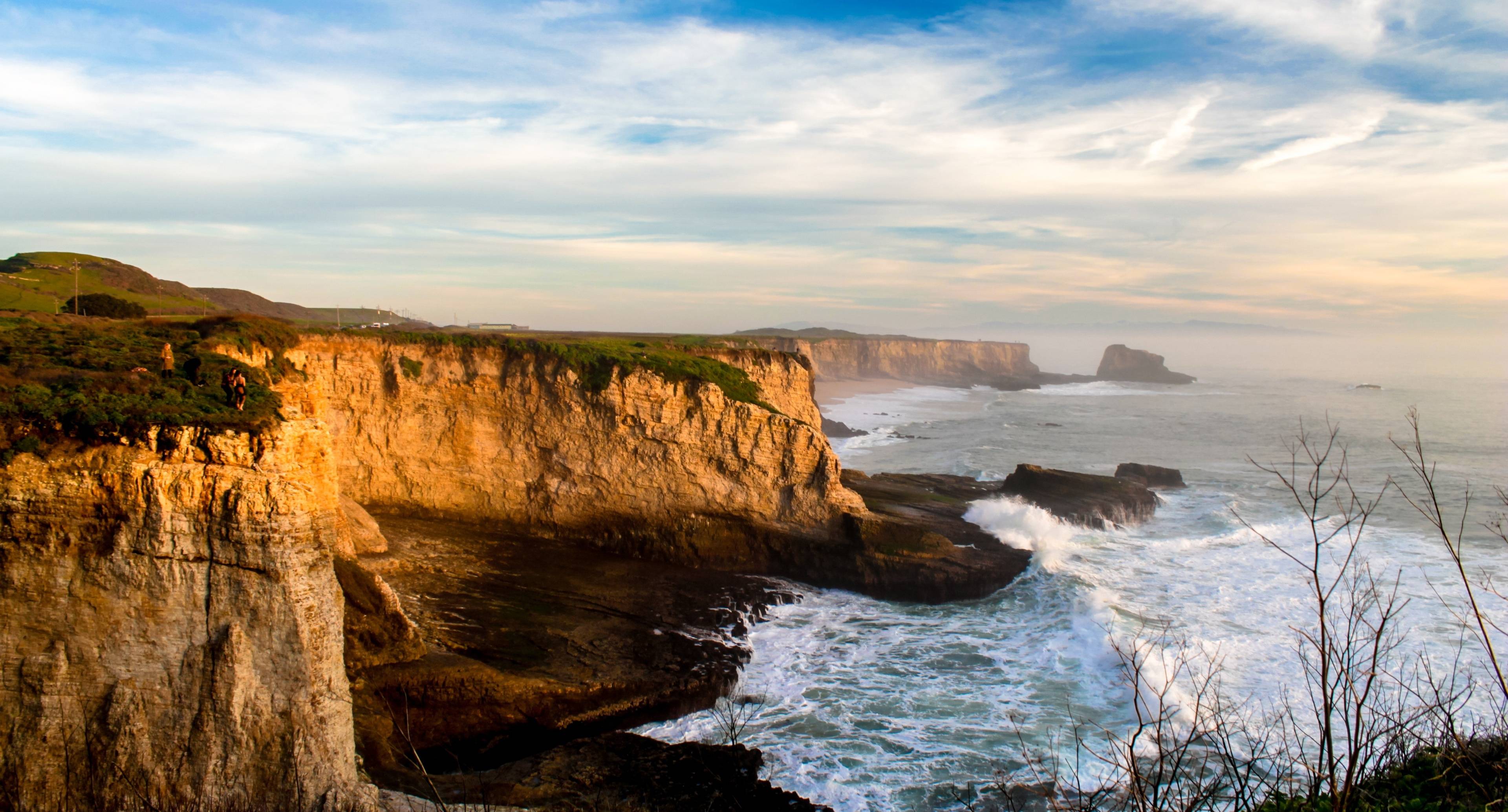 Coastal Redwoods and Silicon Valley Riches