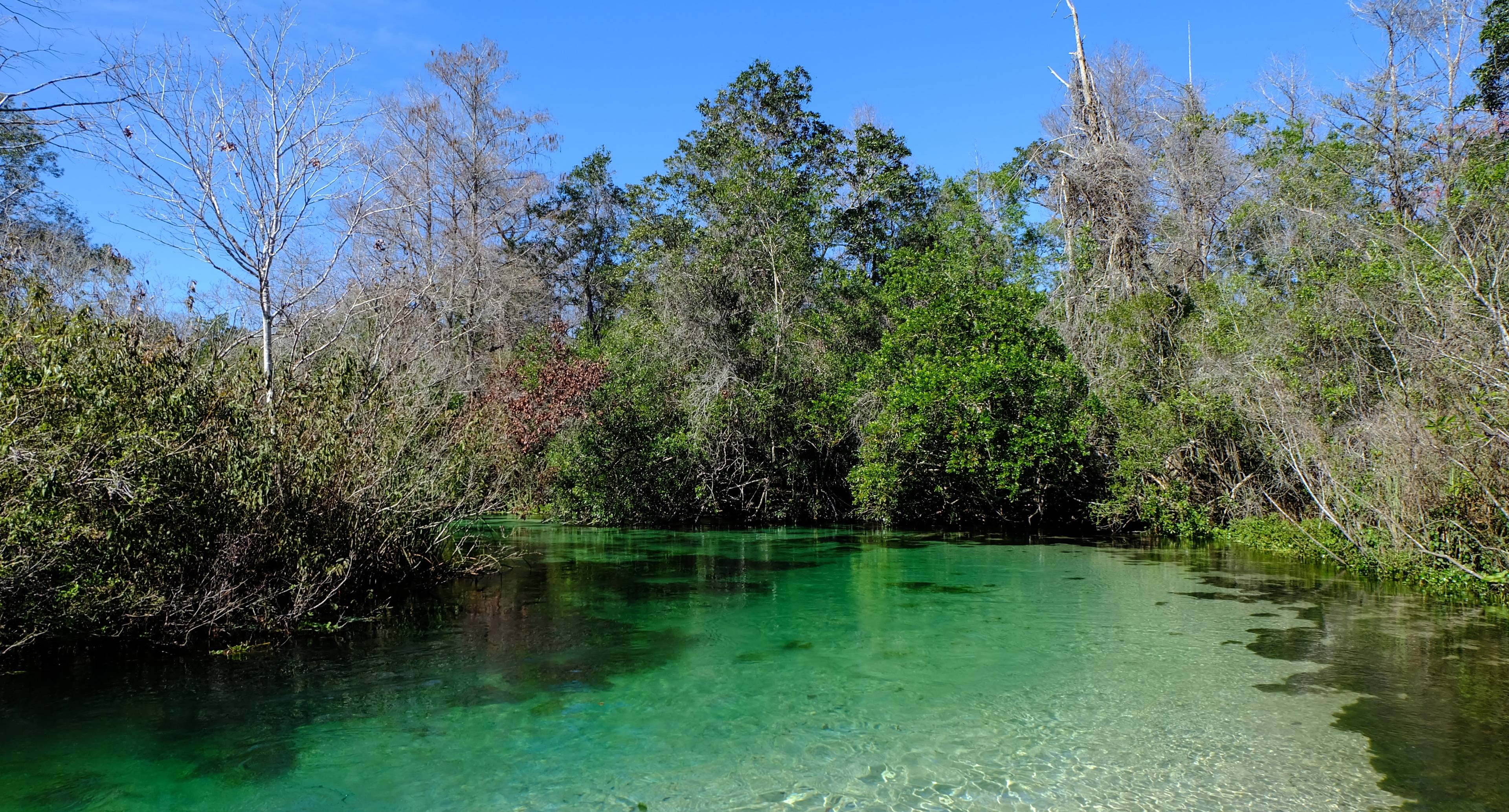 Von Natural Springs nach Disney Springs