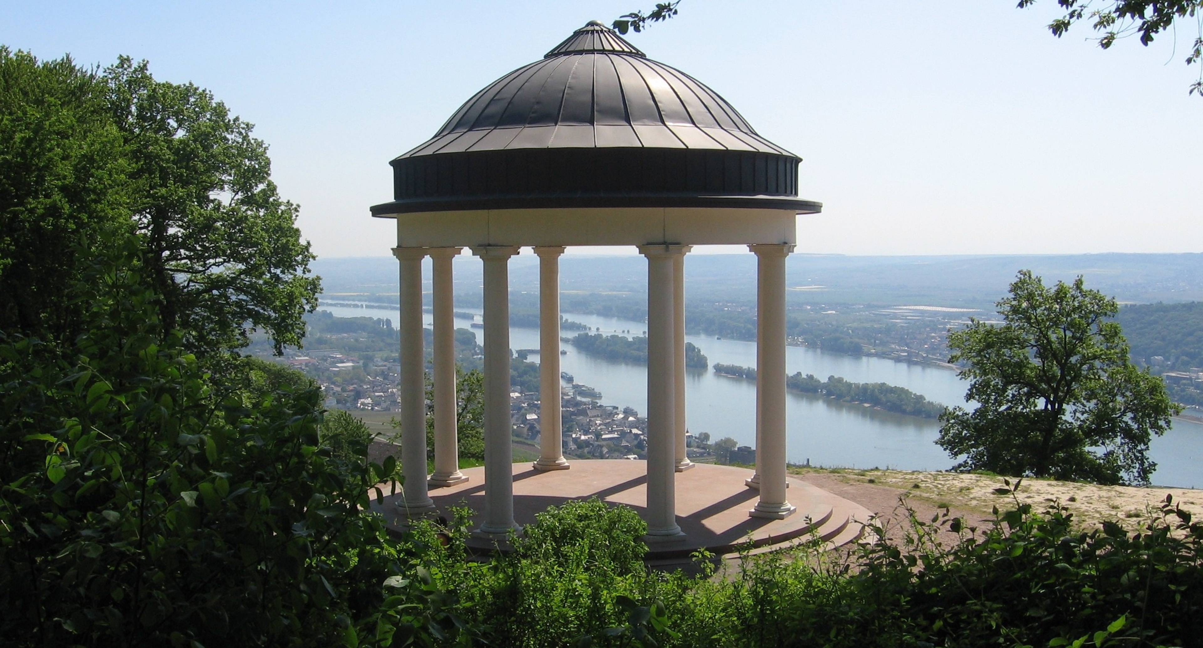 Entdecken Sie die Weinregion im Rheingau 