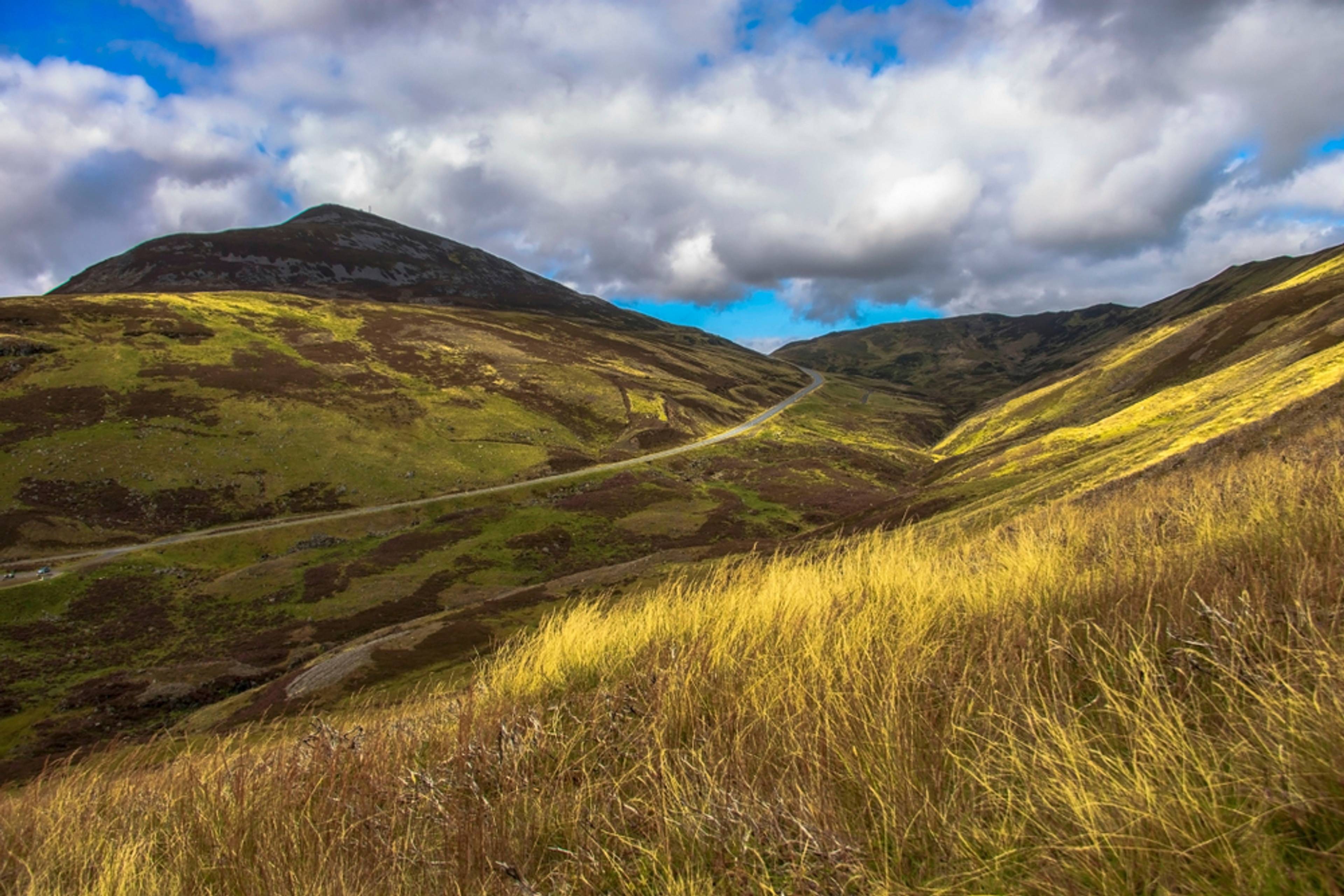 Old Military Road Viewpoint