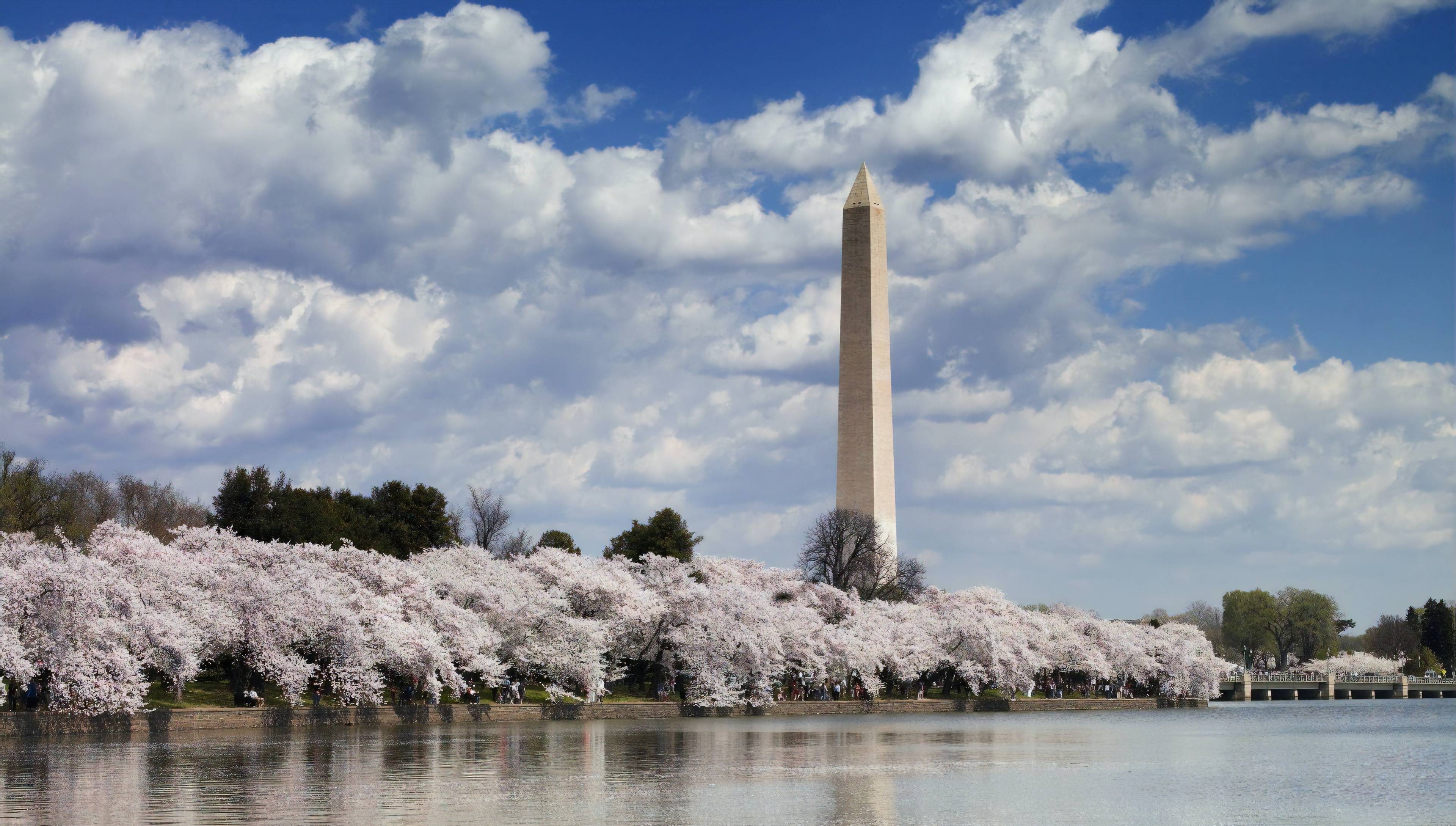 Washington Monument