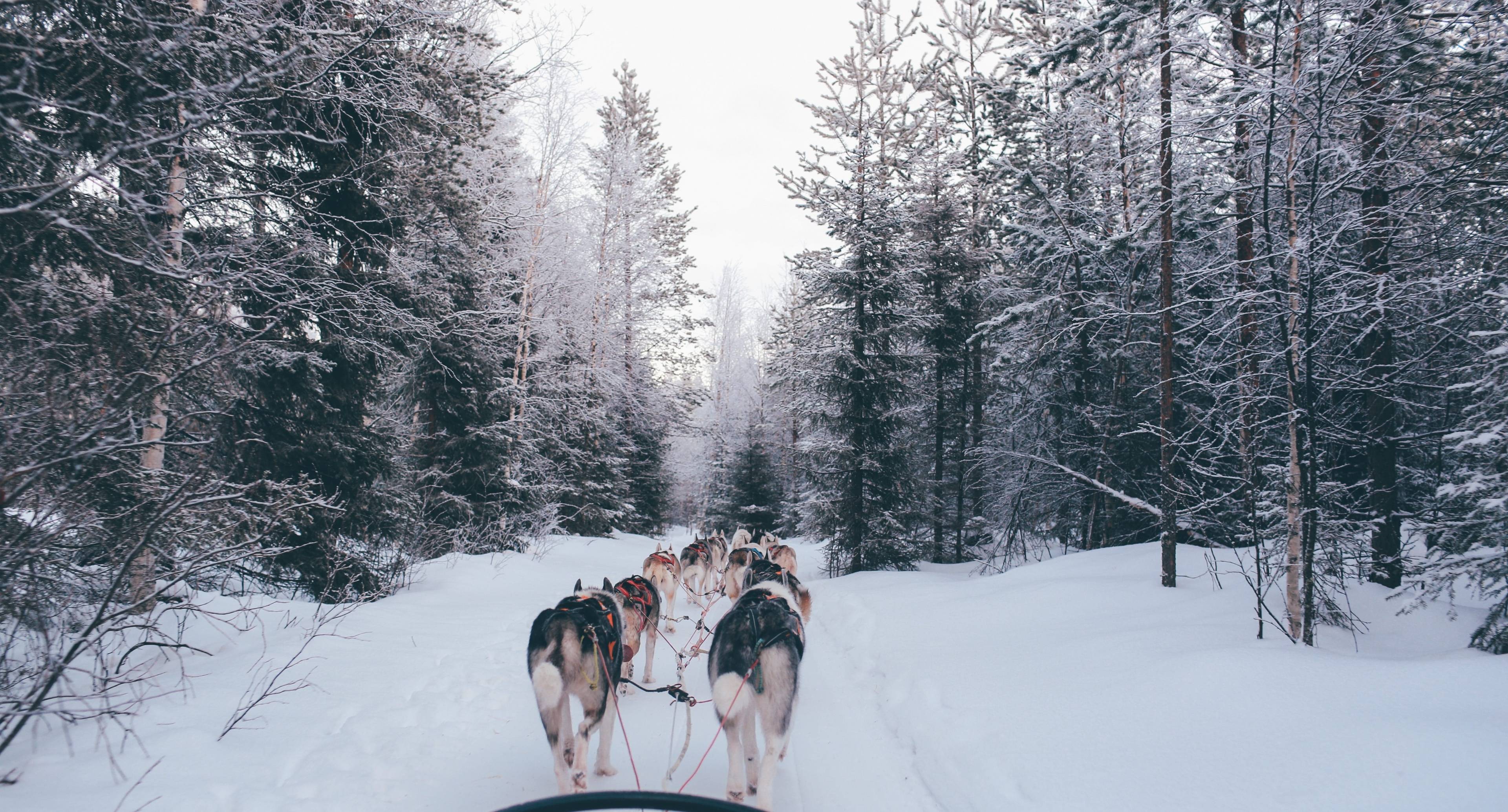 Eine Reise durch ein Winterwunderland