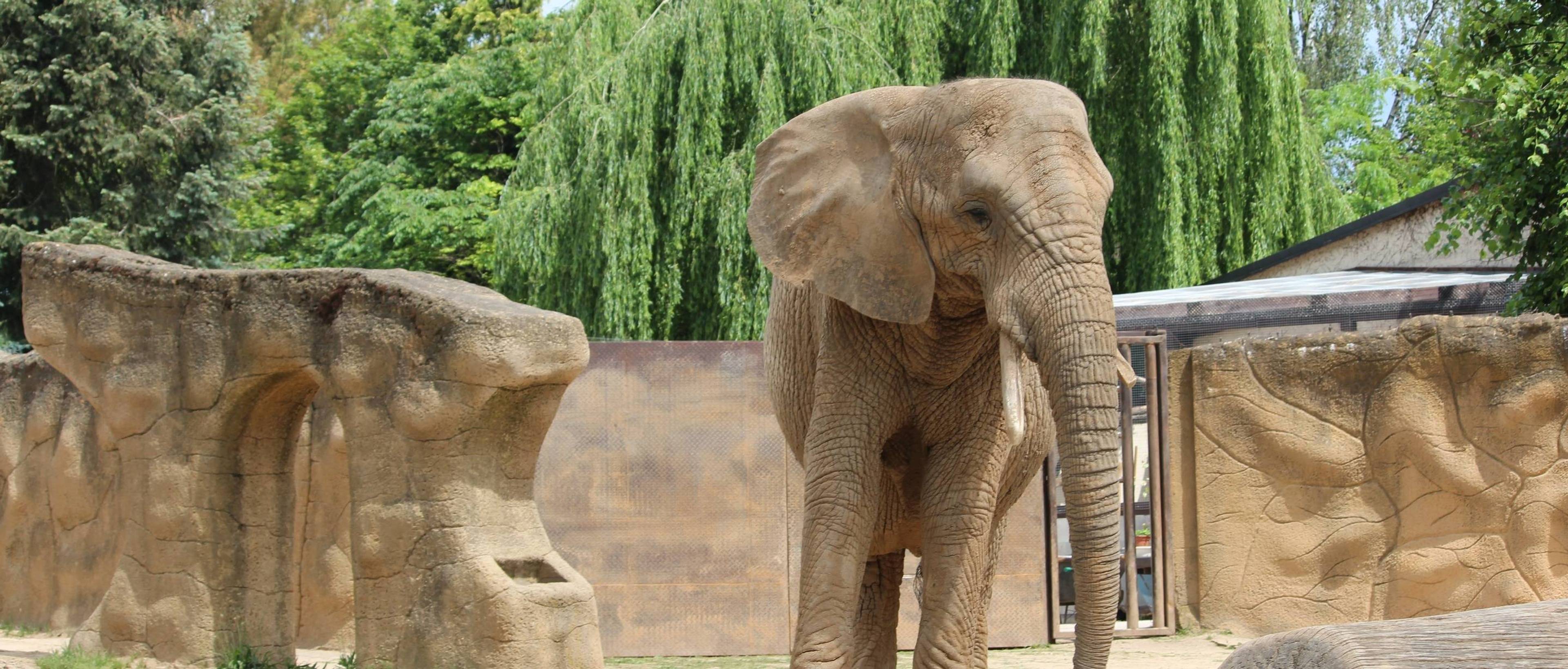 Touroparc Zoo