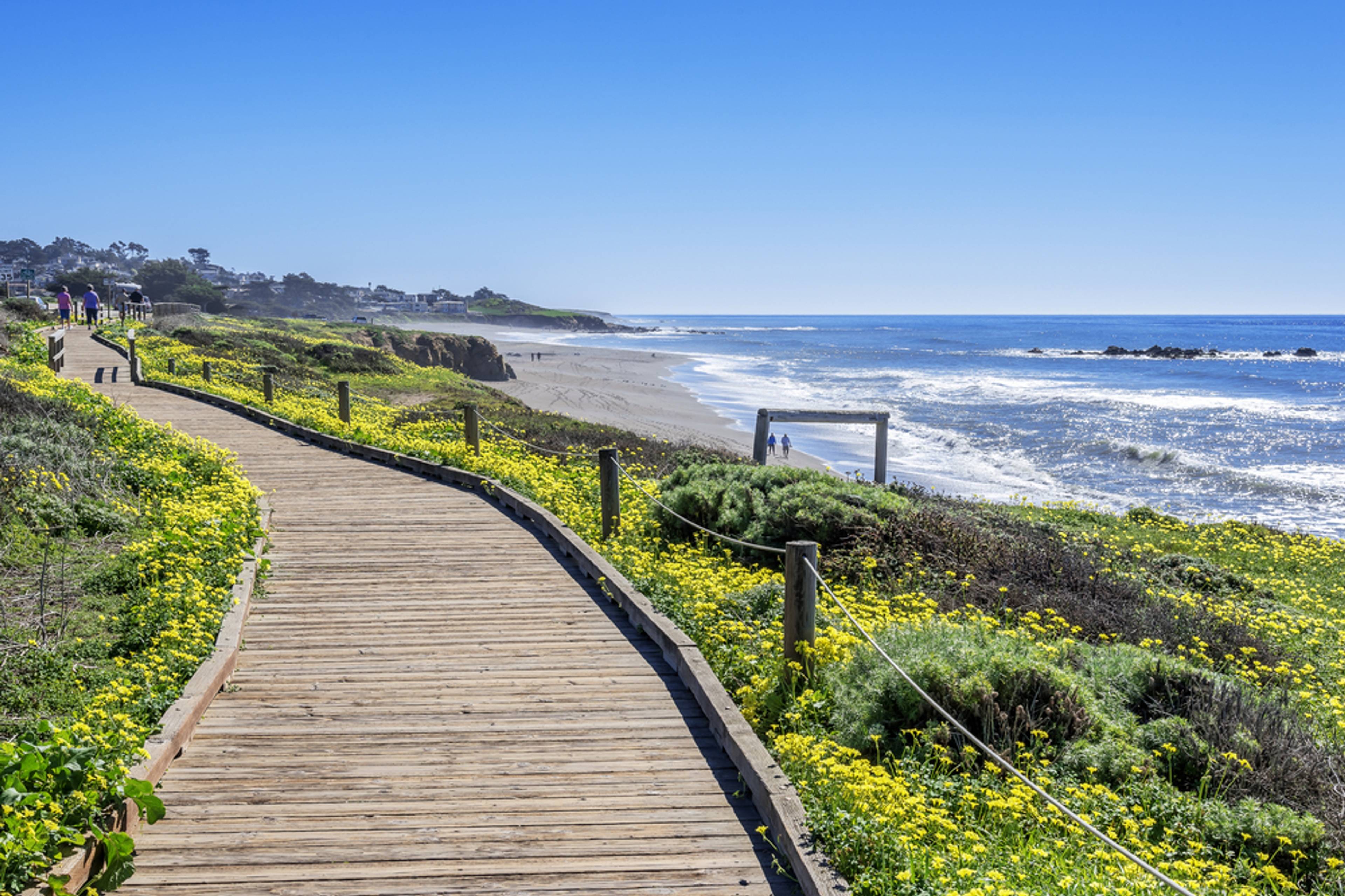 Seal View Beach Deck