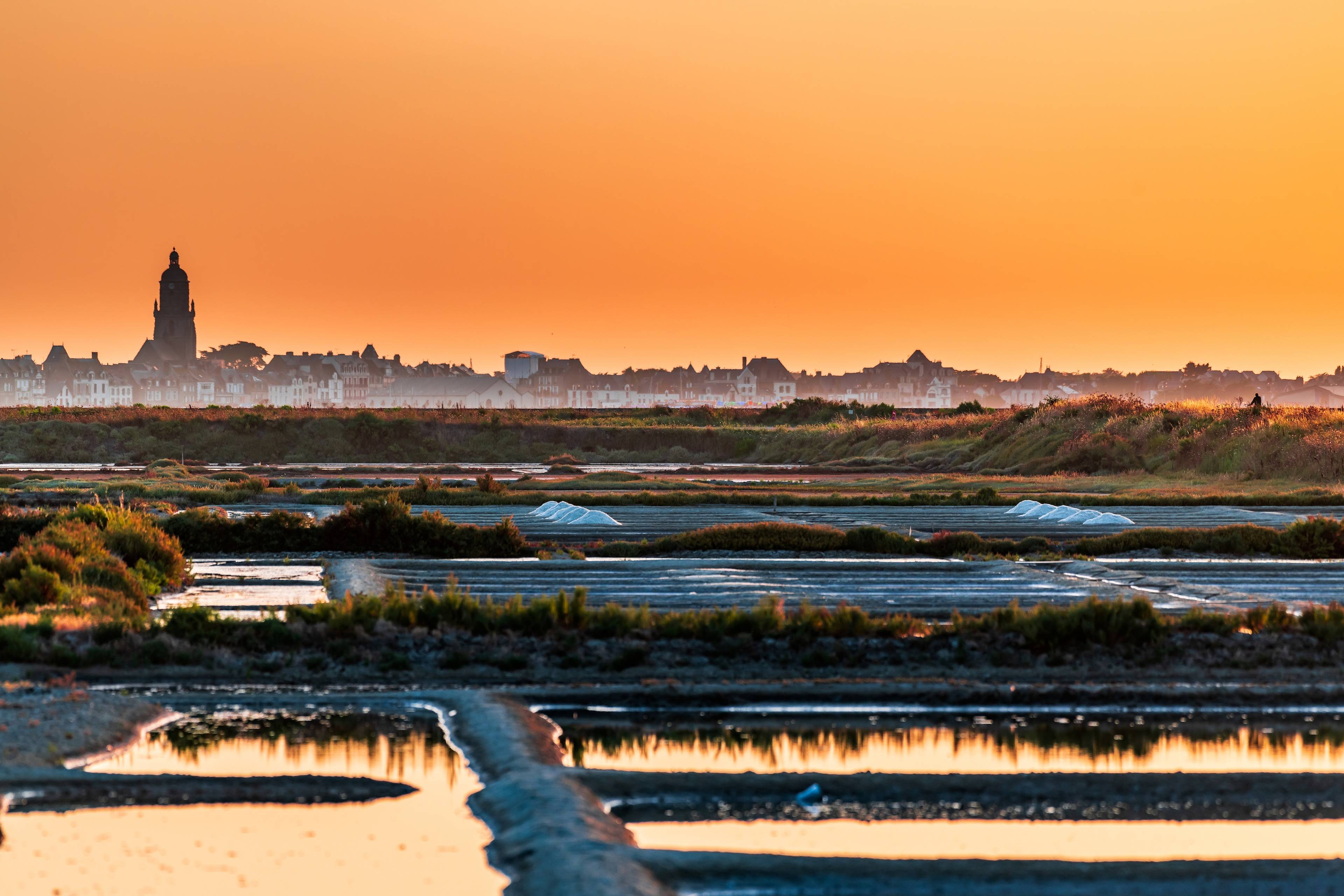 Salt Marshes