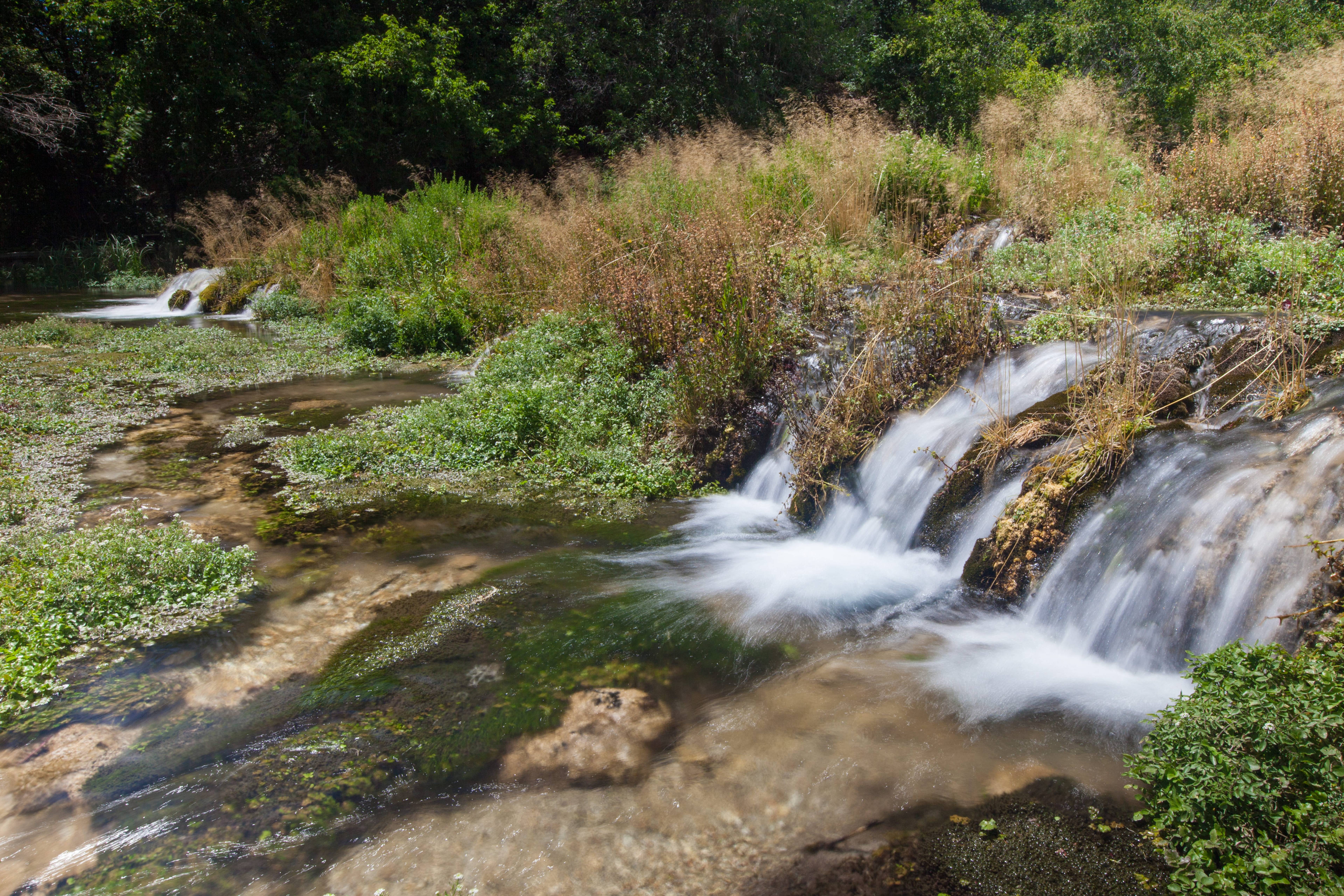 Cascade Springs