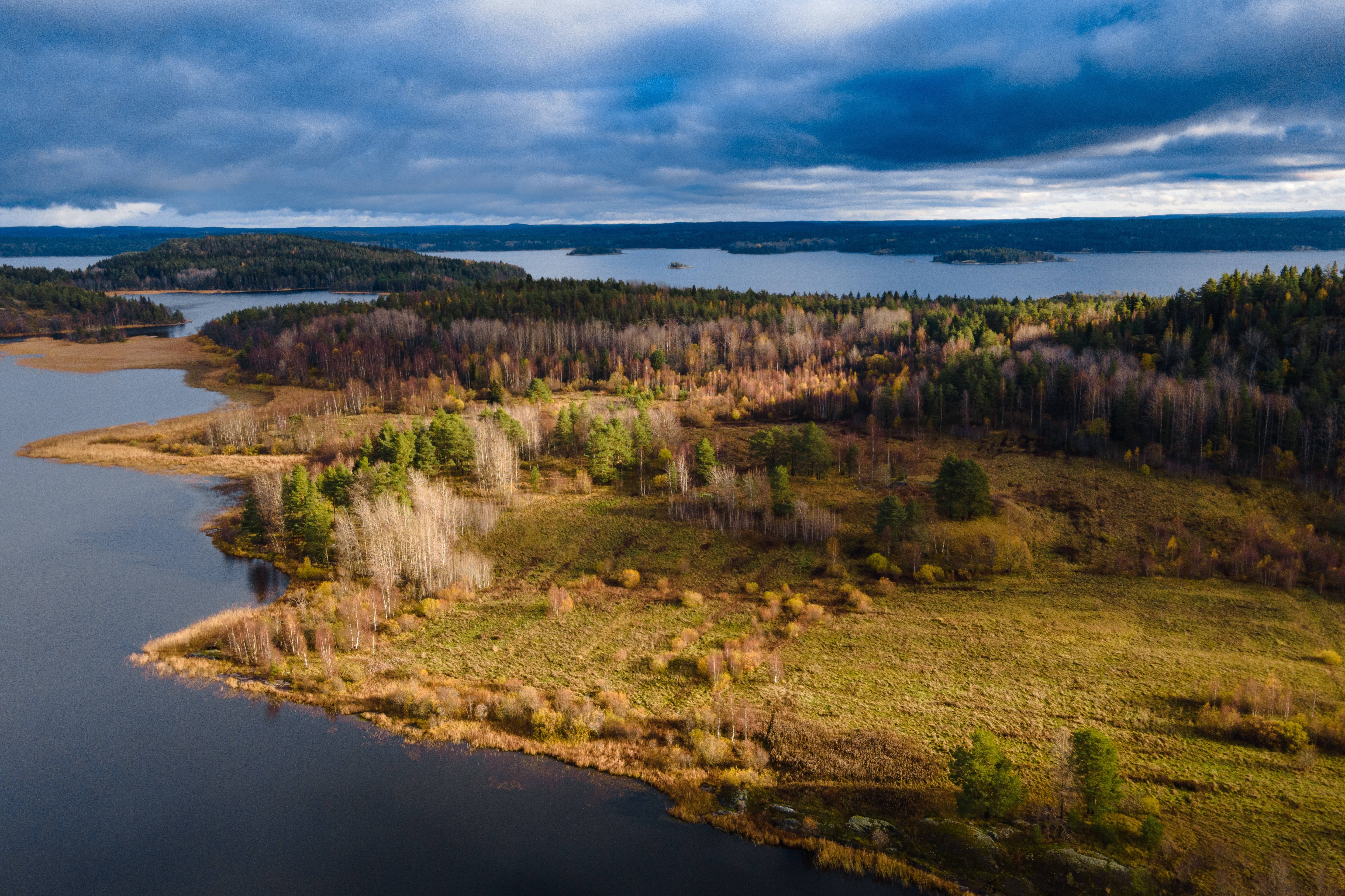 Drive Park Ladoga