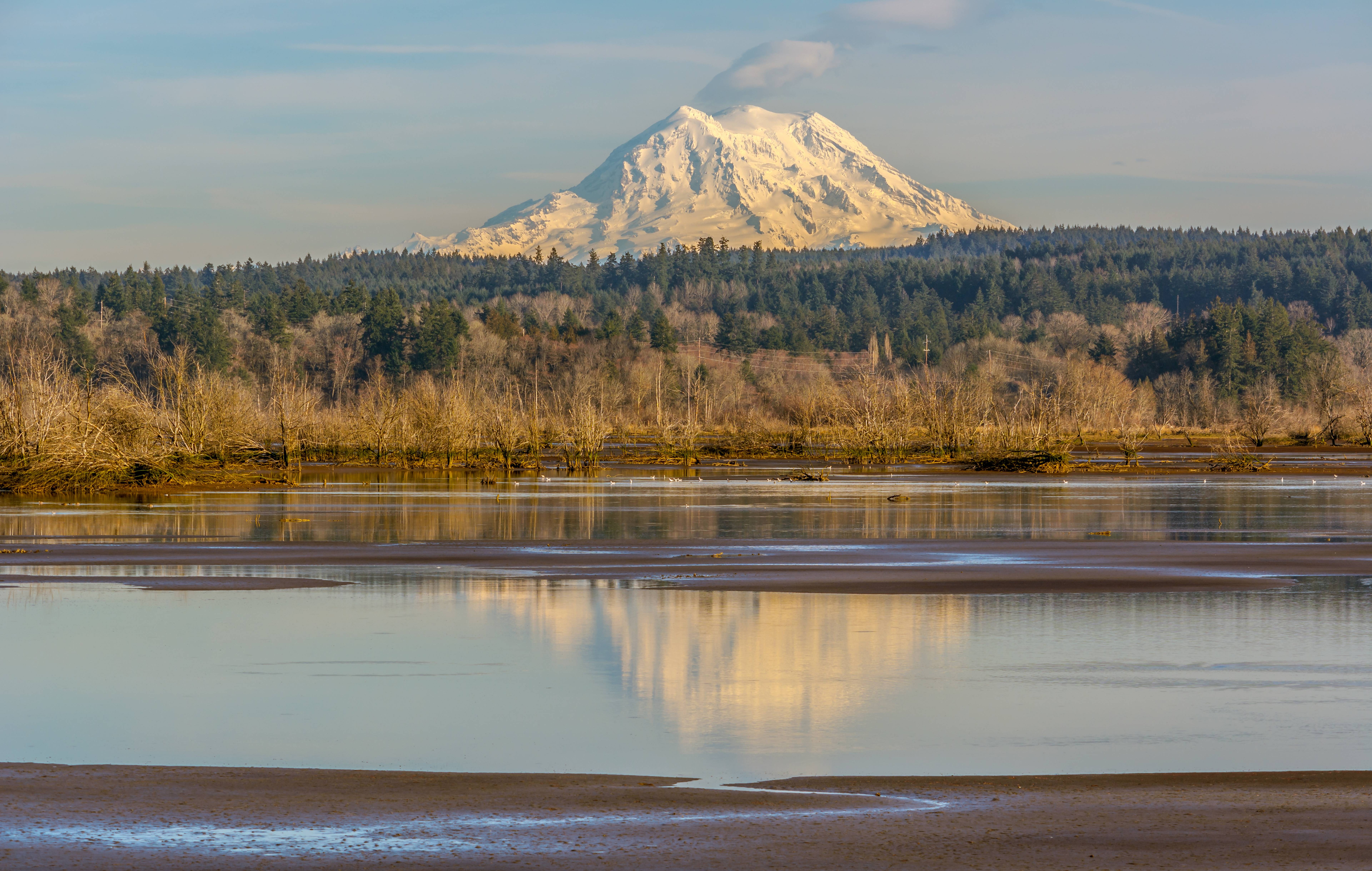 Billy Frank Jr. Nisqually National Wildlife Refuge