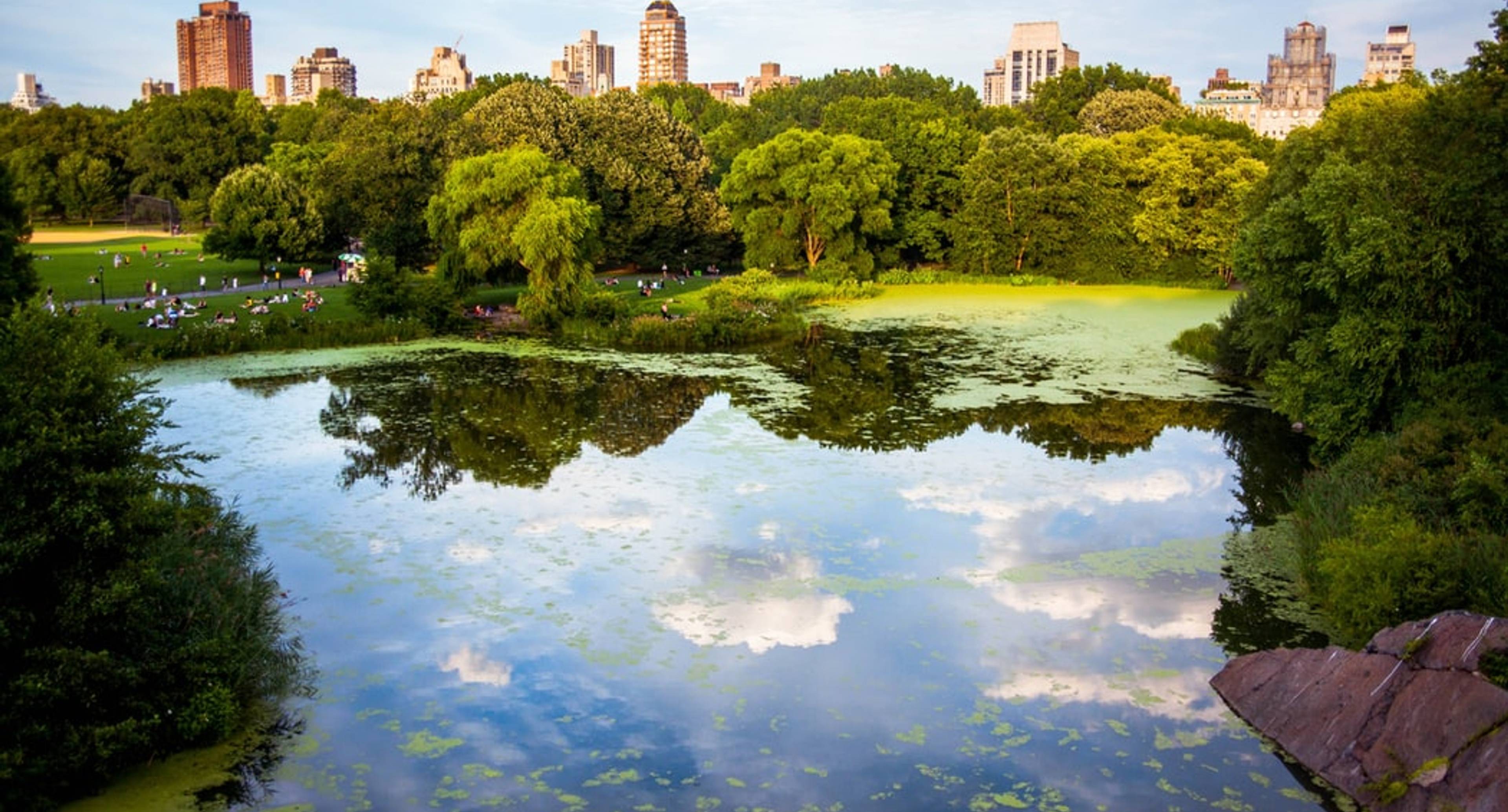 Su primer día en Nueva York