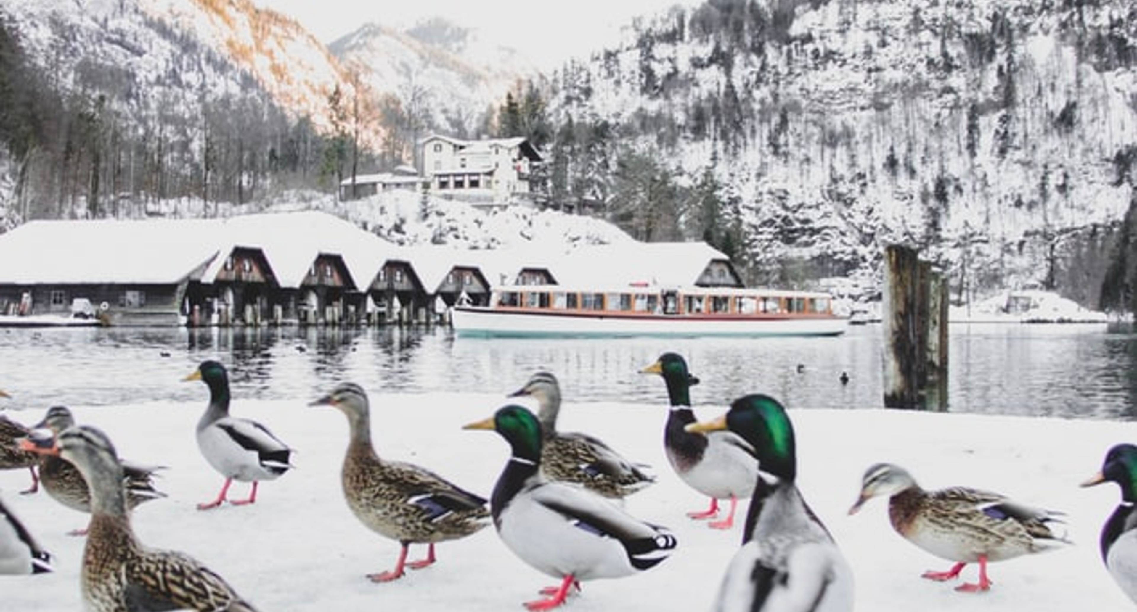 Bad Reichenhall in Deutschland und ein zweiter Tag in Salzburg