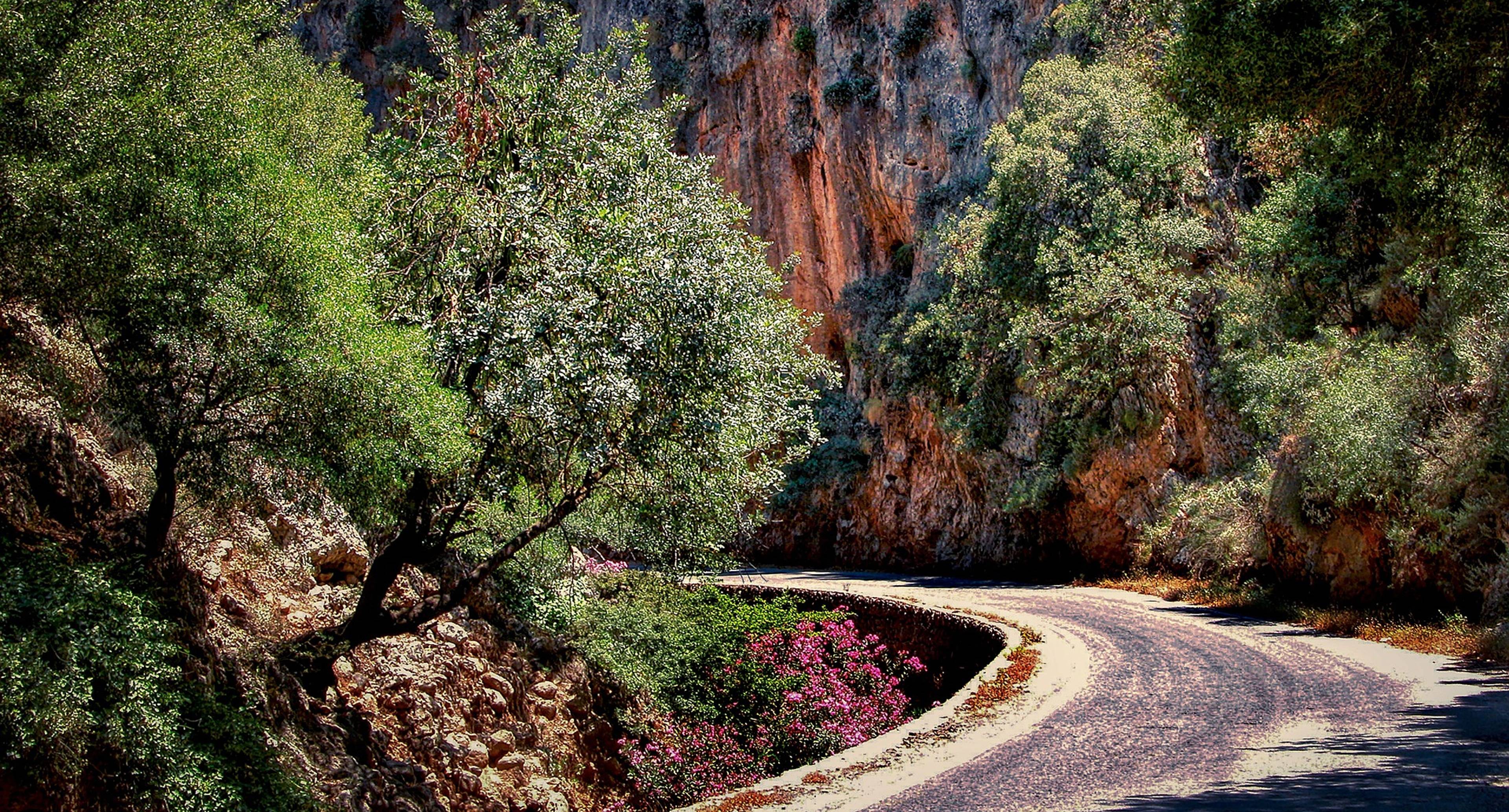 Through the Narrowest Part of the Island