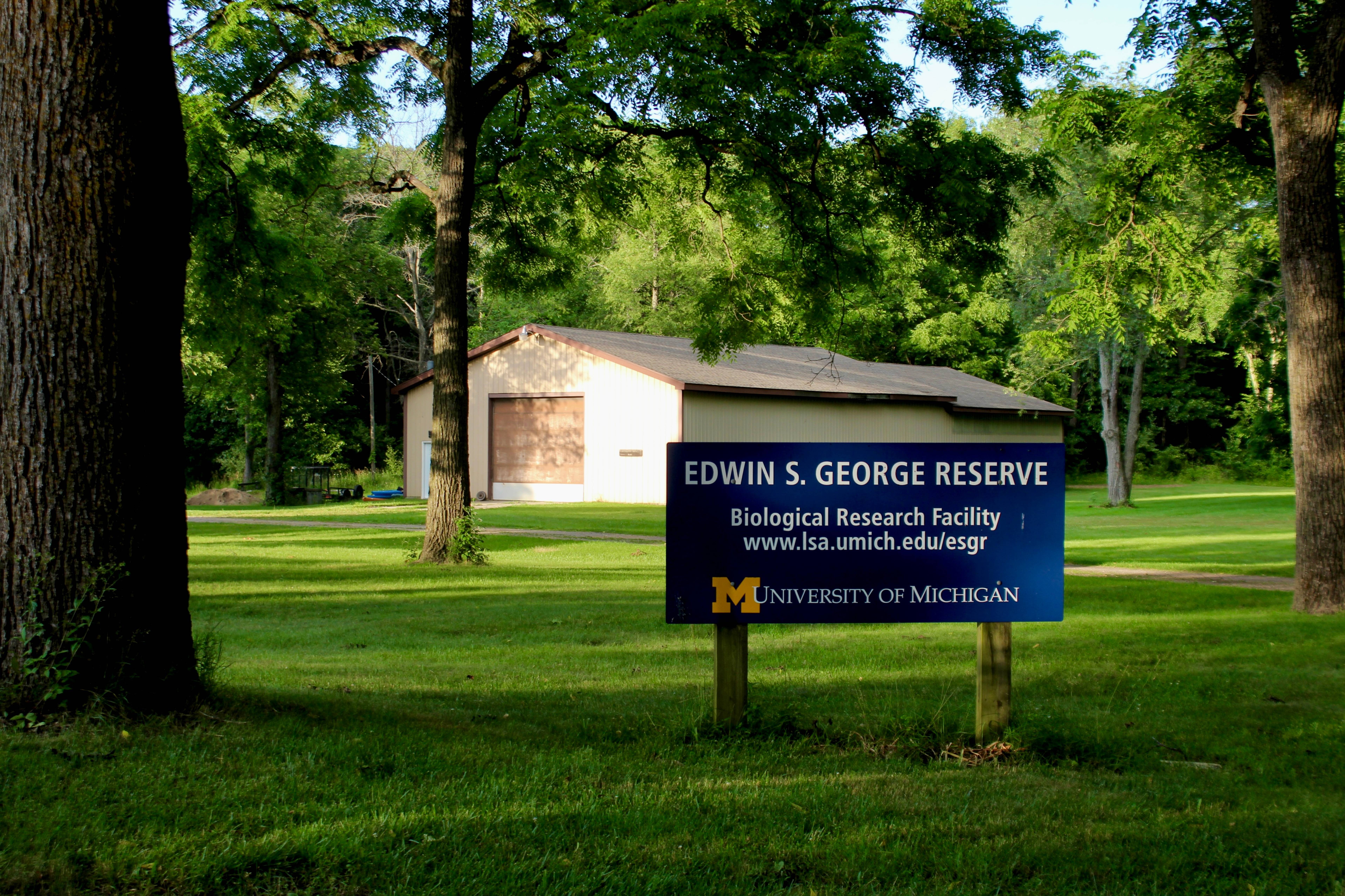 Edwin S. George Reserve (University of Michigan)