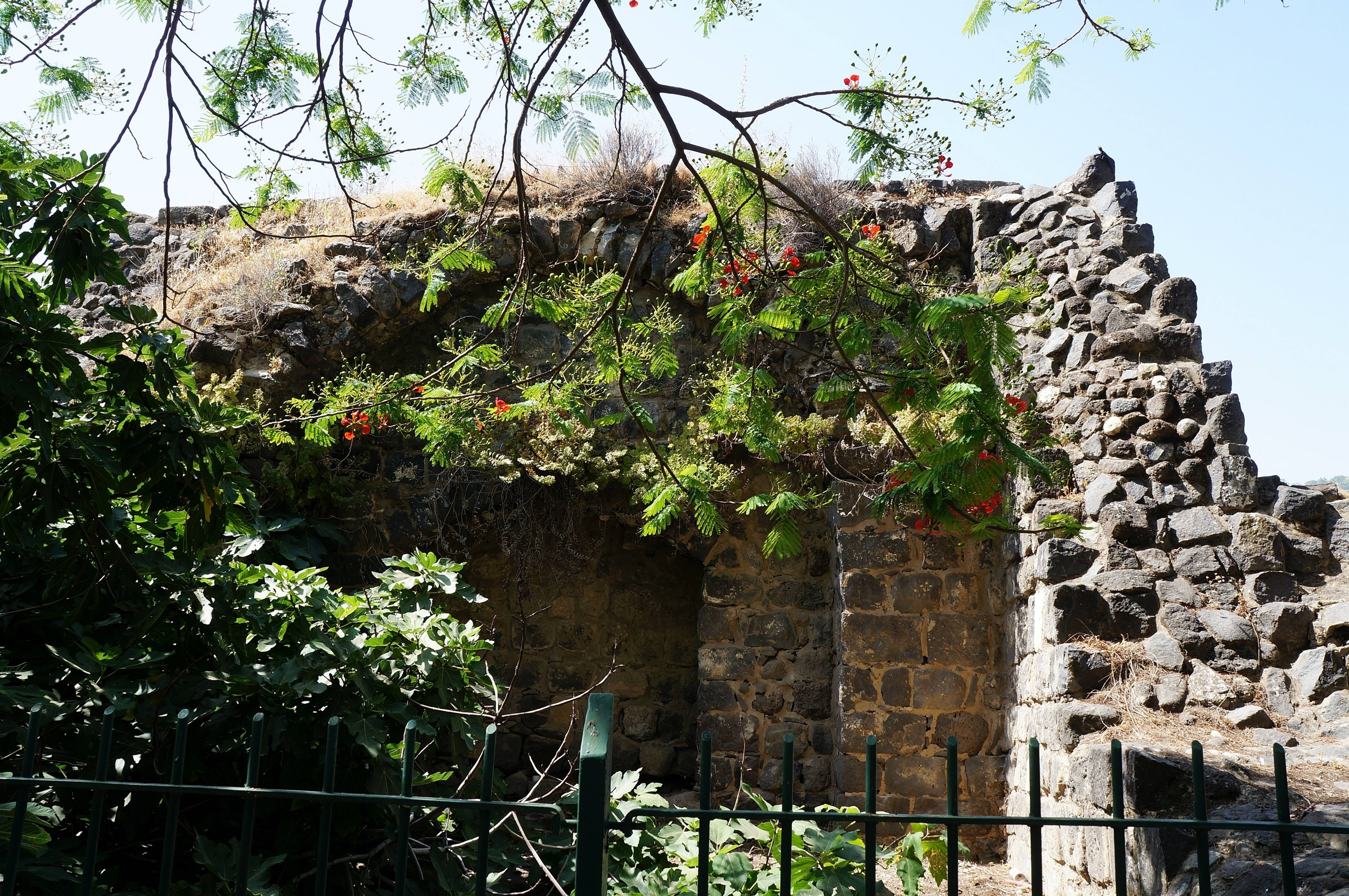 Centro de Historia Bíblica